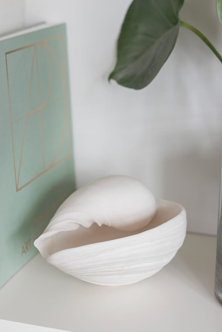 Adorno Conch concha, Small Mette Ditmer