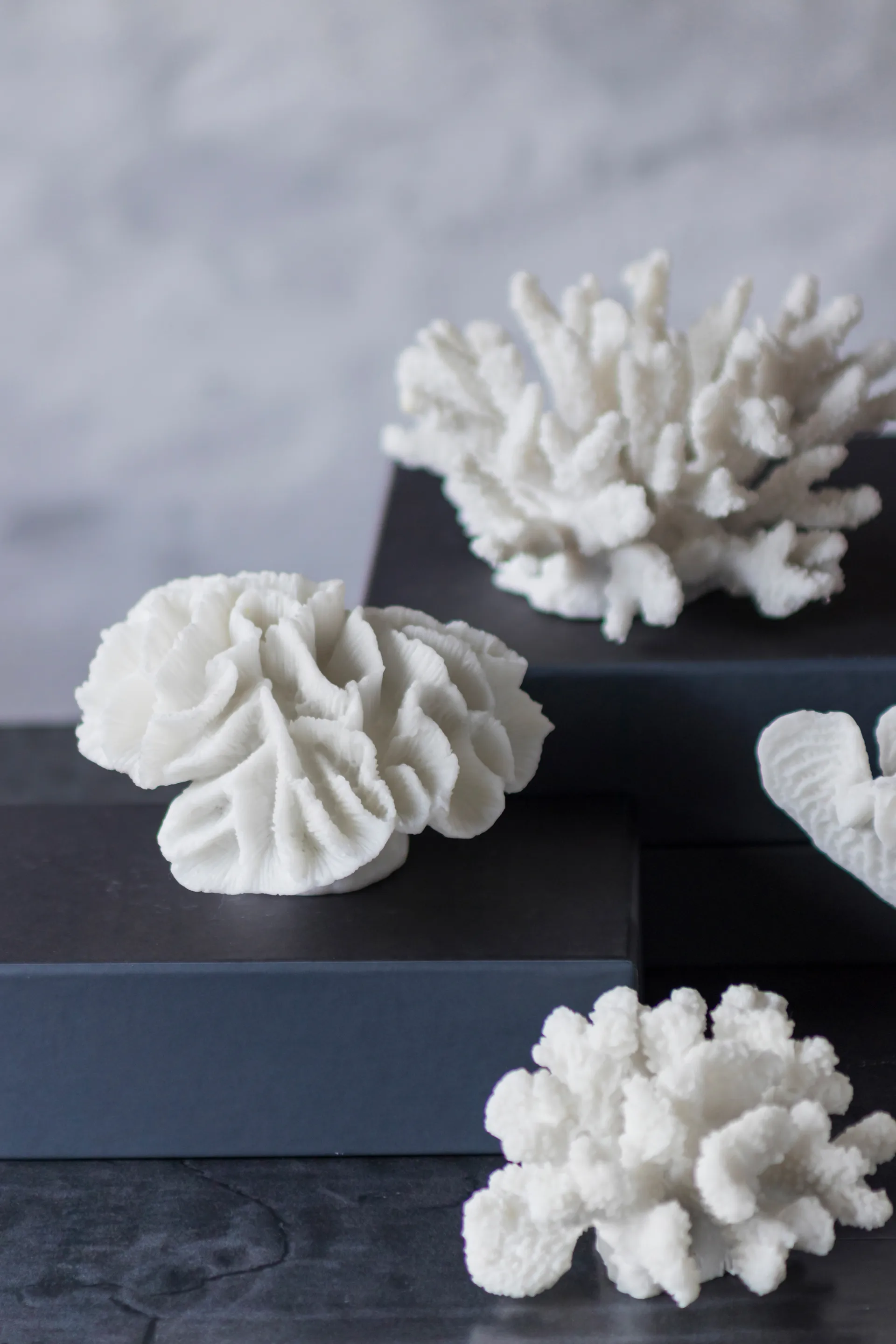 Decoración Coral branches white, Large Mette Ditmer