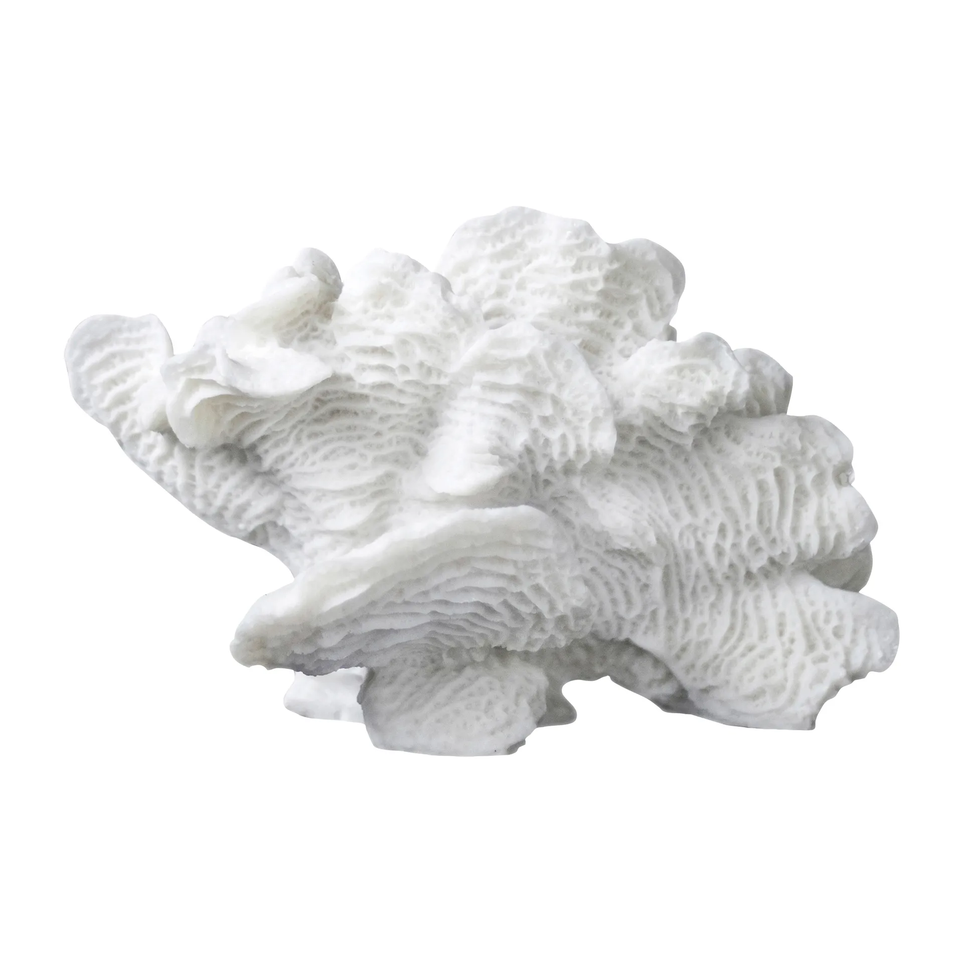 Decoración Coral fan, White Mette Ditmer
