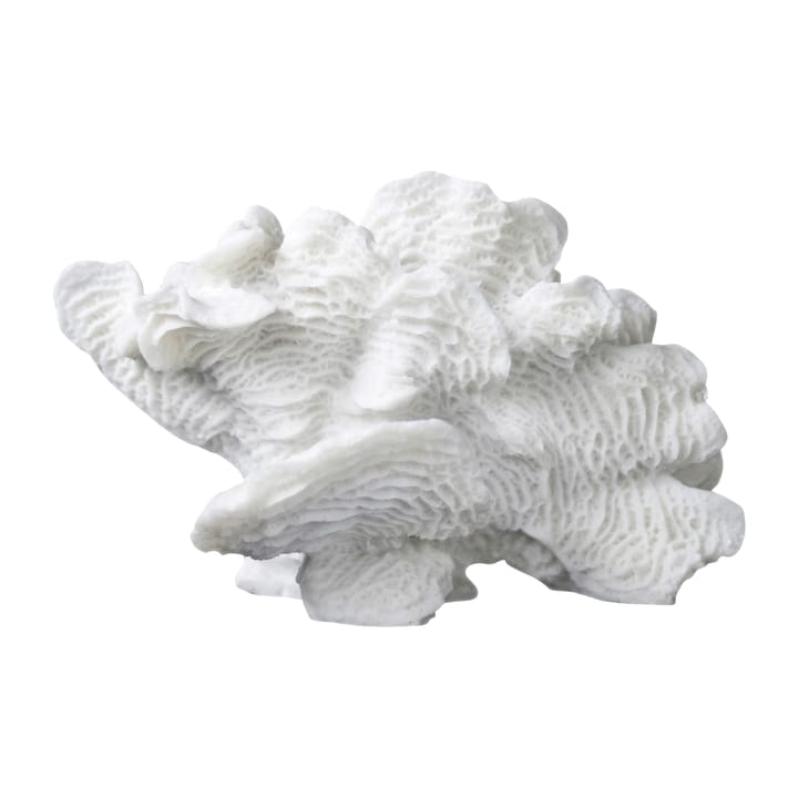 Decoración Coral fan - White - Mette Ditmer