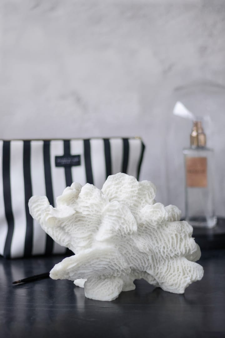 Decoración Coral fan - White - Mette Ditmer