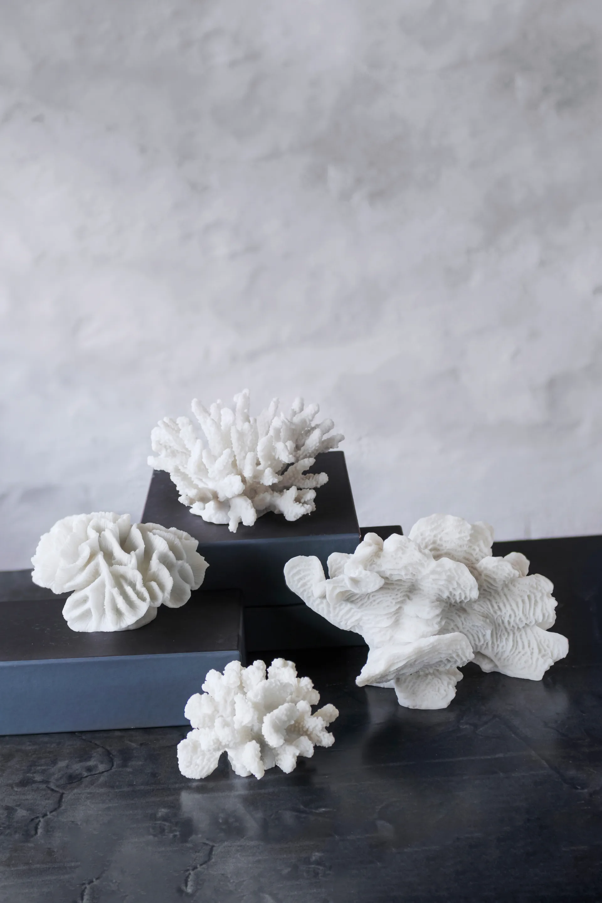 Decoración Coral fan, White Mette Ditmer