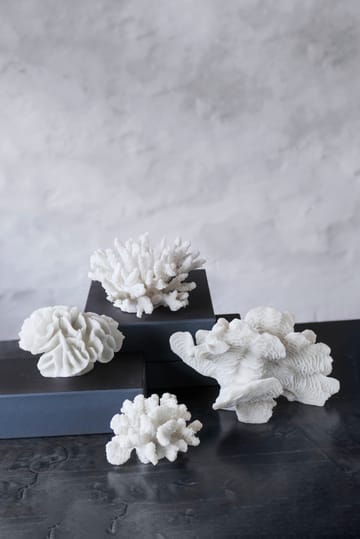 Decoración Coral fan - White - Mette Ditmer
