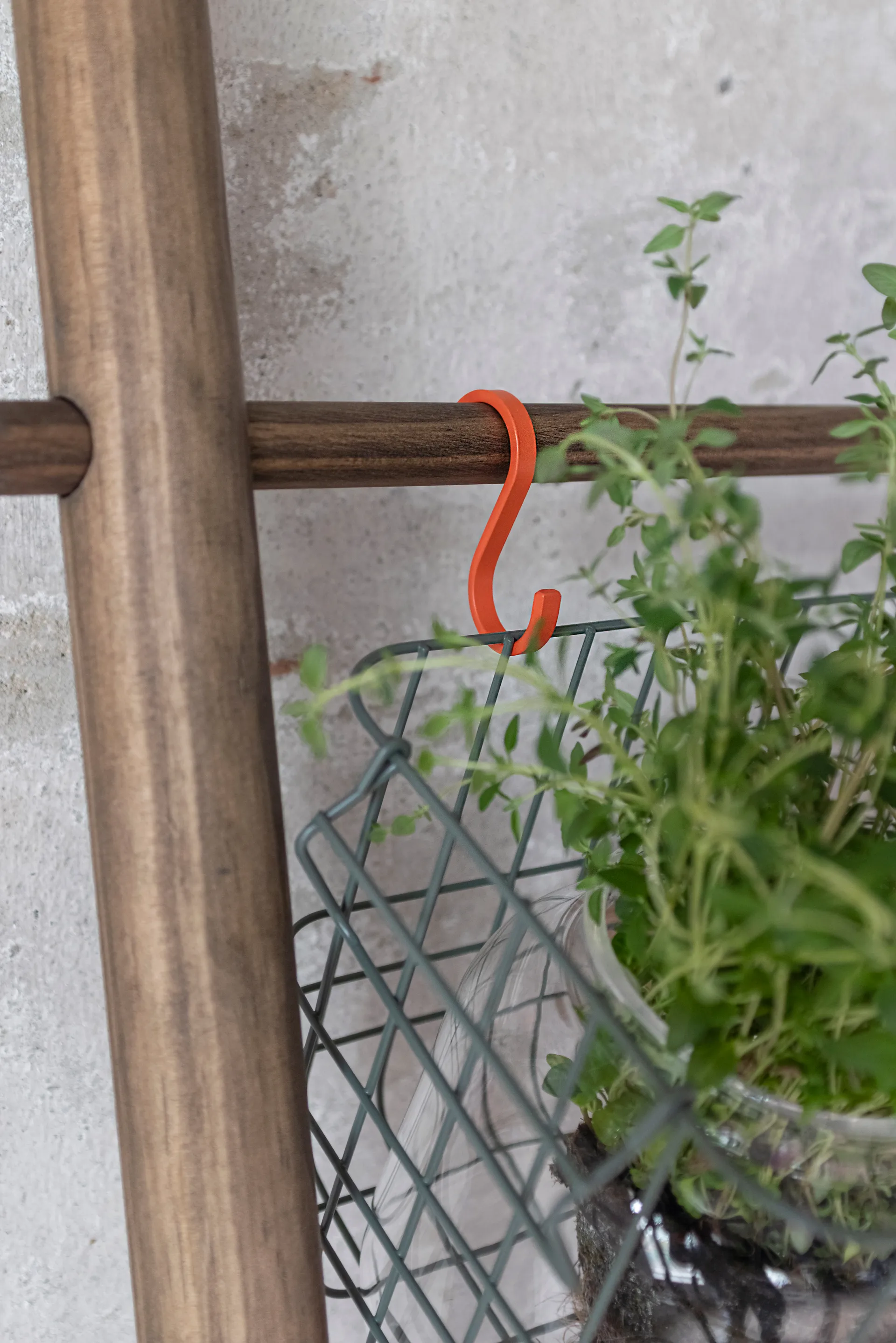 Gancho Hang-it 5-pack, Naranja Mette Ditmer