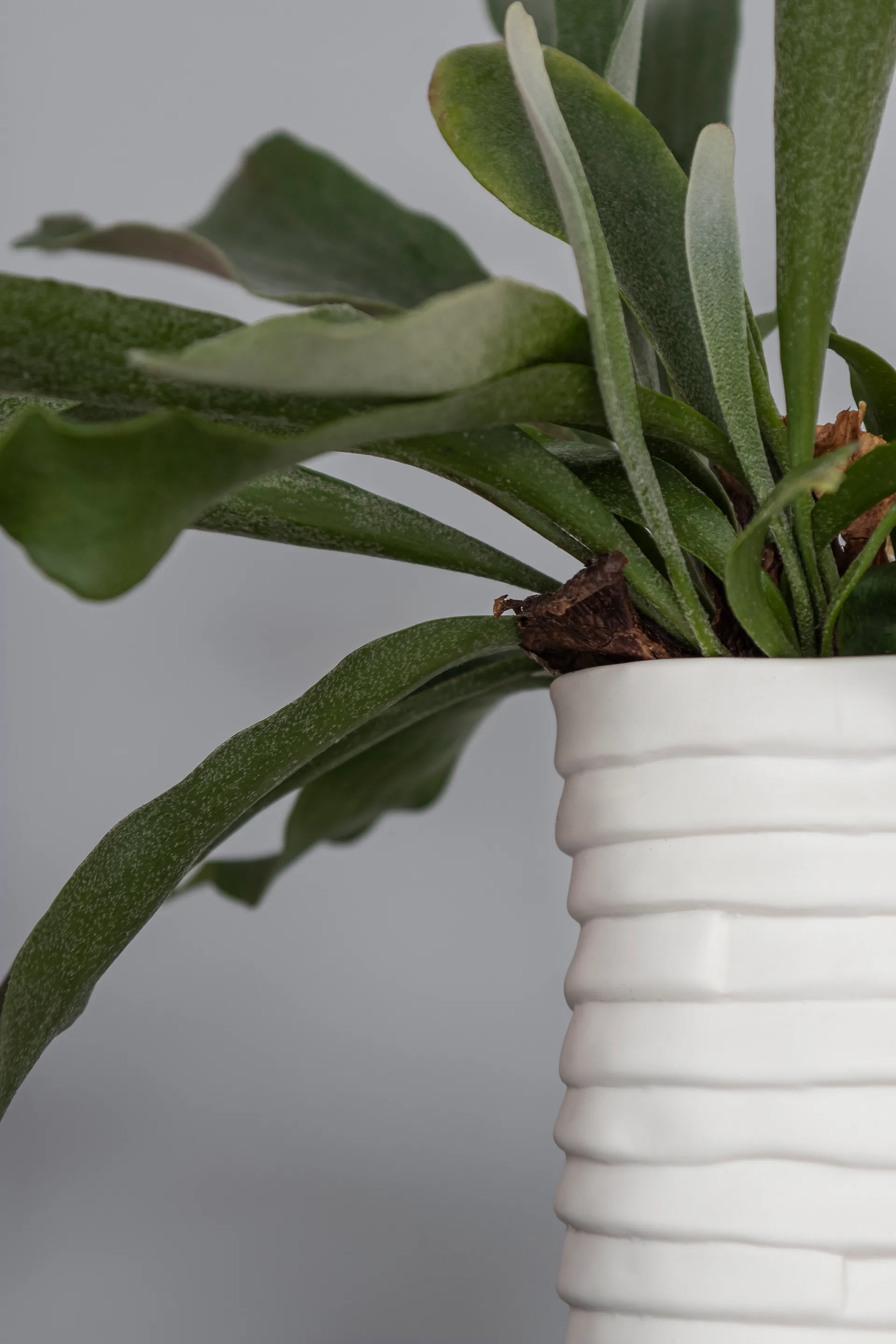 Jarrón Ribbon large 20 cm, Off-white Mette Ditmer