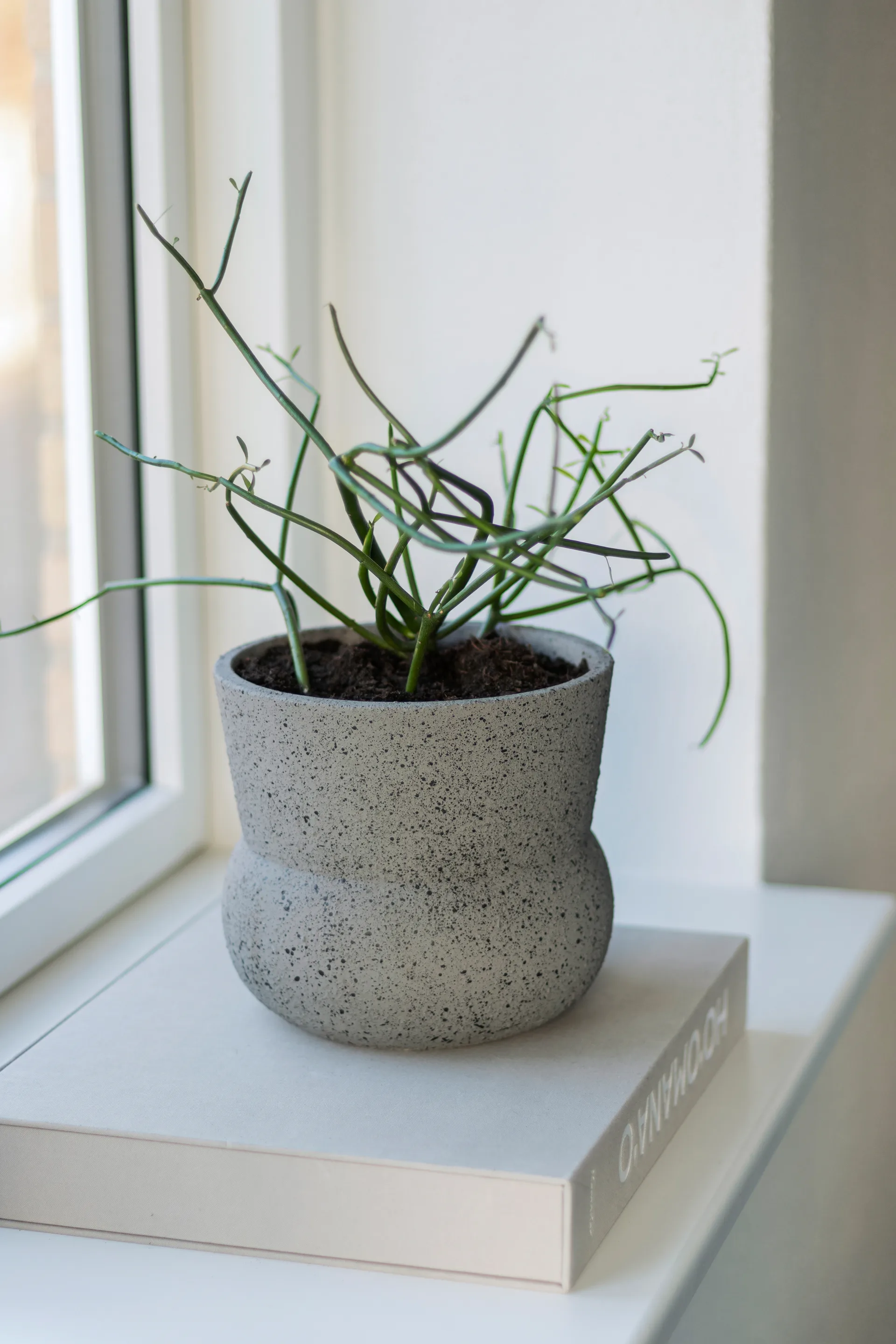 Maceta Stone Ø17 cm, Grey Mette Ditmer