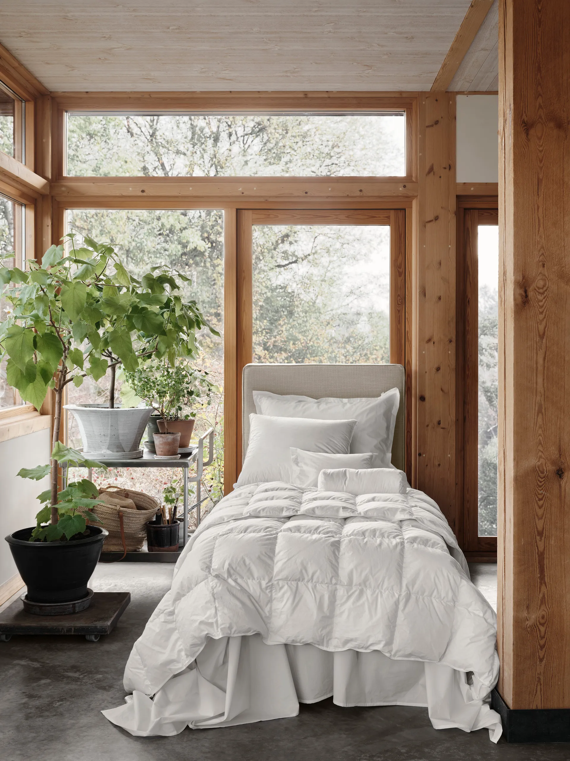 Edredón de plumas Natura, Blanco, 220x220 cm, fresco Mille Notti