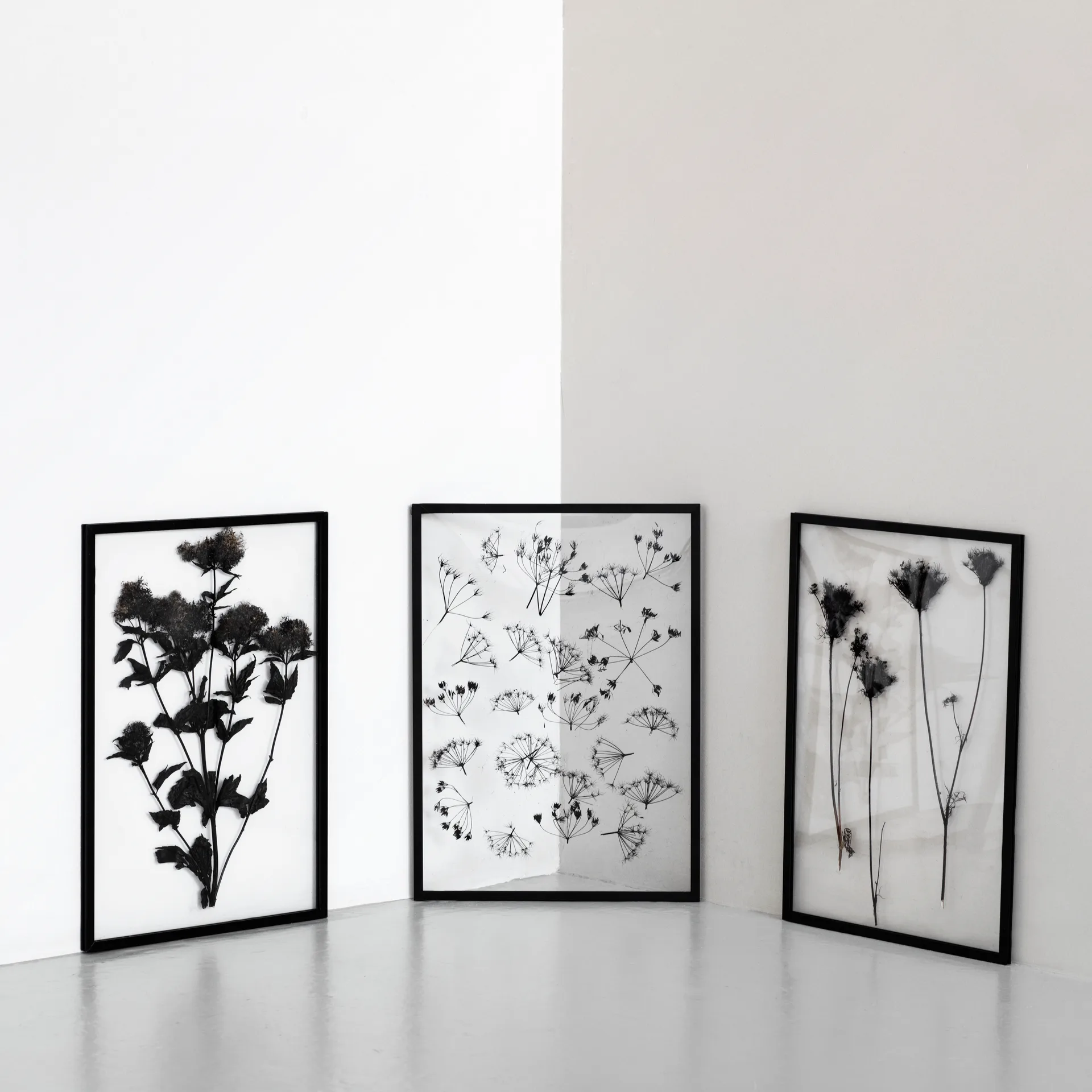 Marco Moebe Frame A2, negro MOEBE