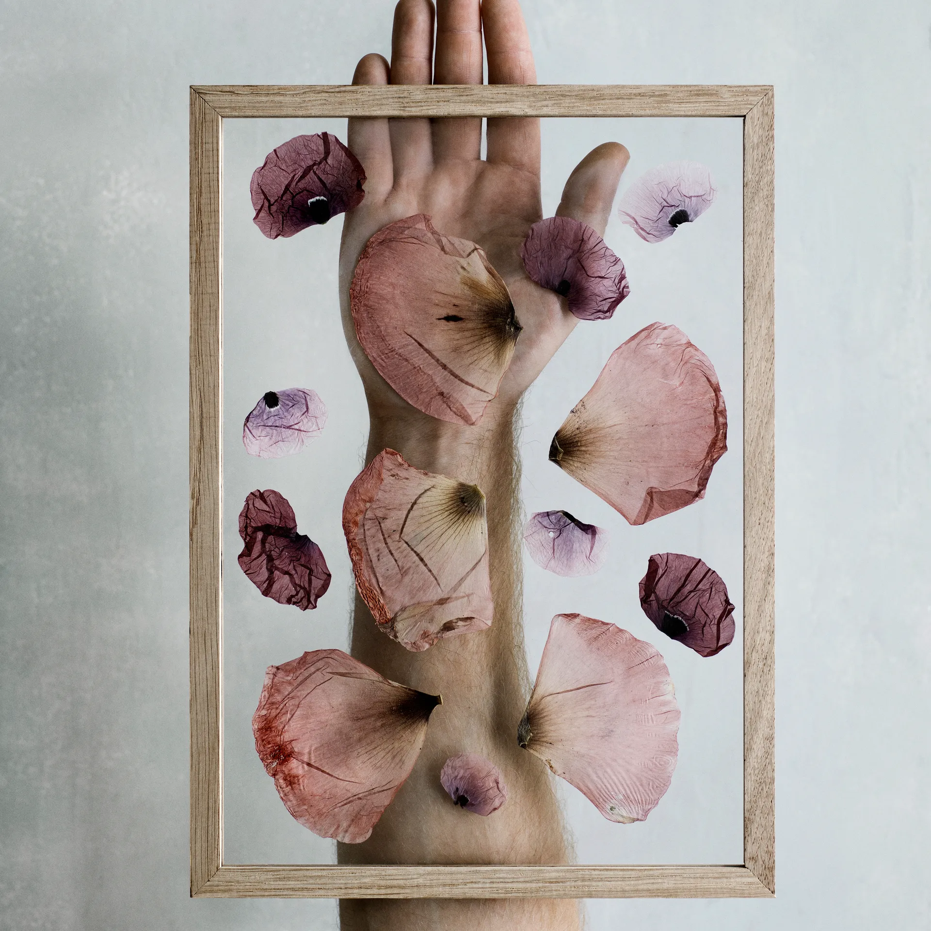 Marco Moebe Frame A4, Roble MOEBE