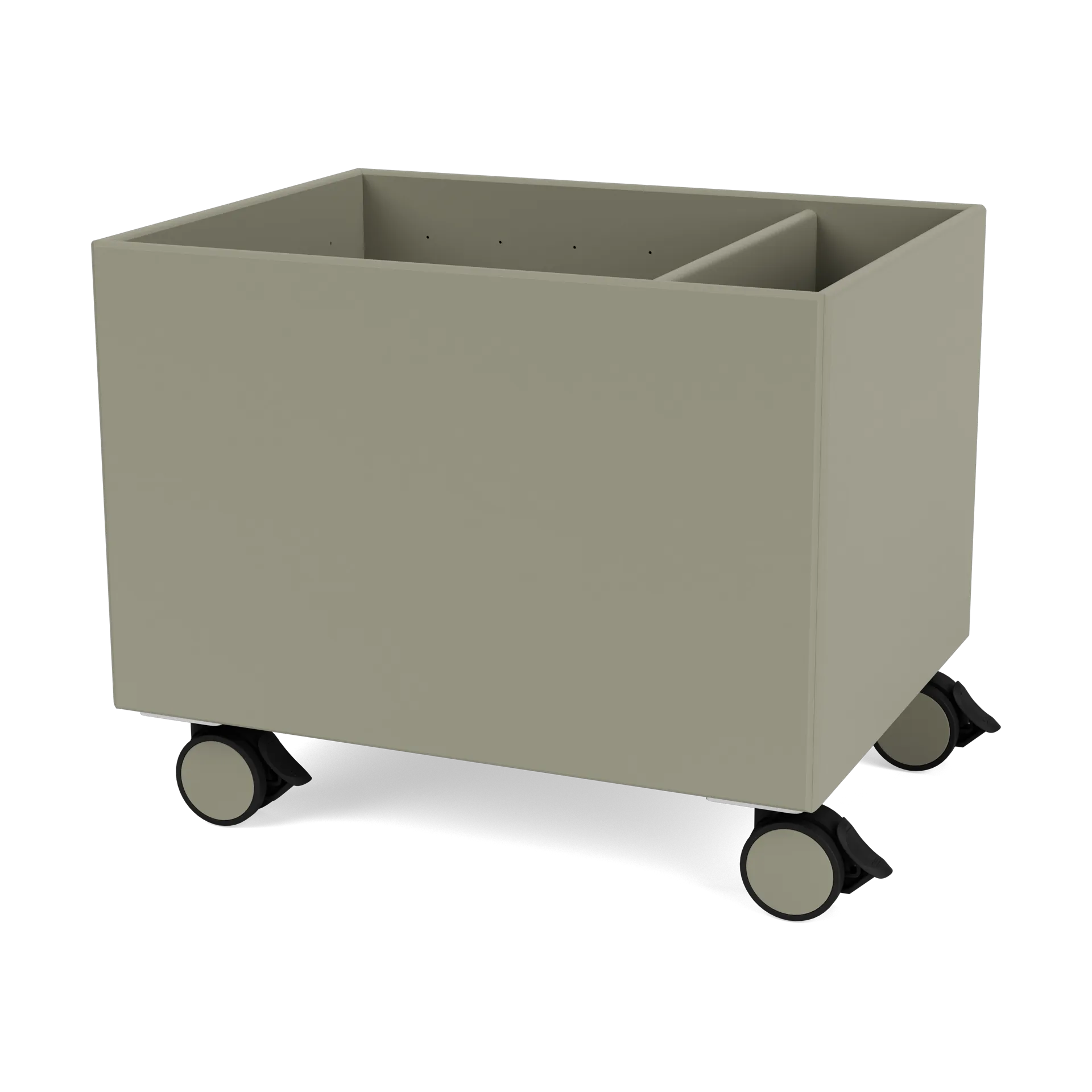 Caja de almacenaje Colour Box II, Fennel Montana