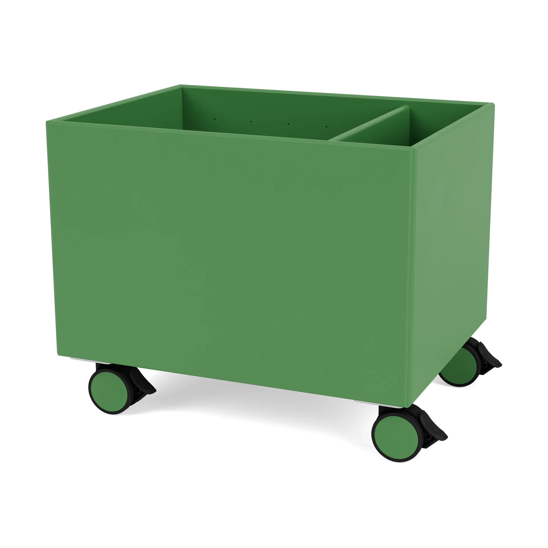 Caja de almacenaje Colour Box II, Parsley Montana