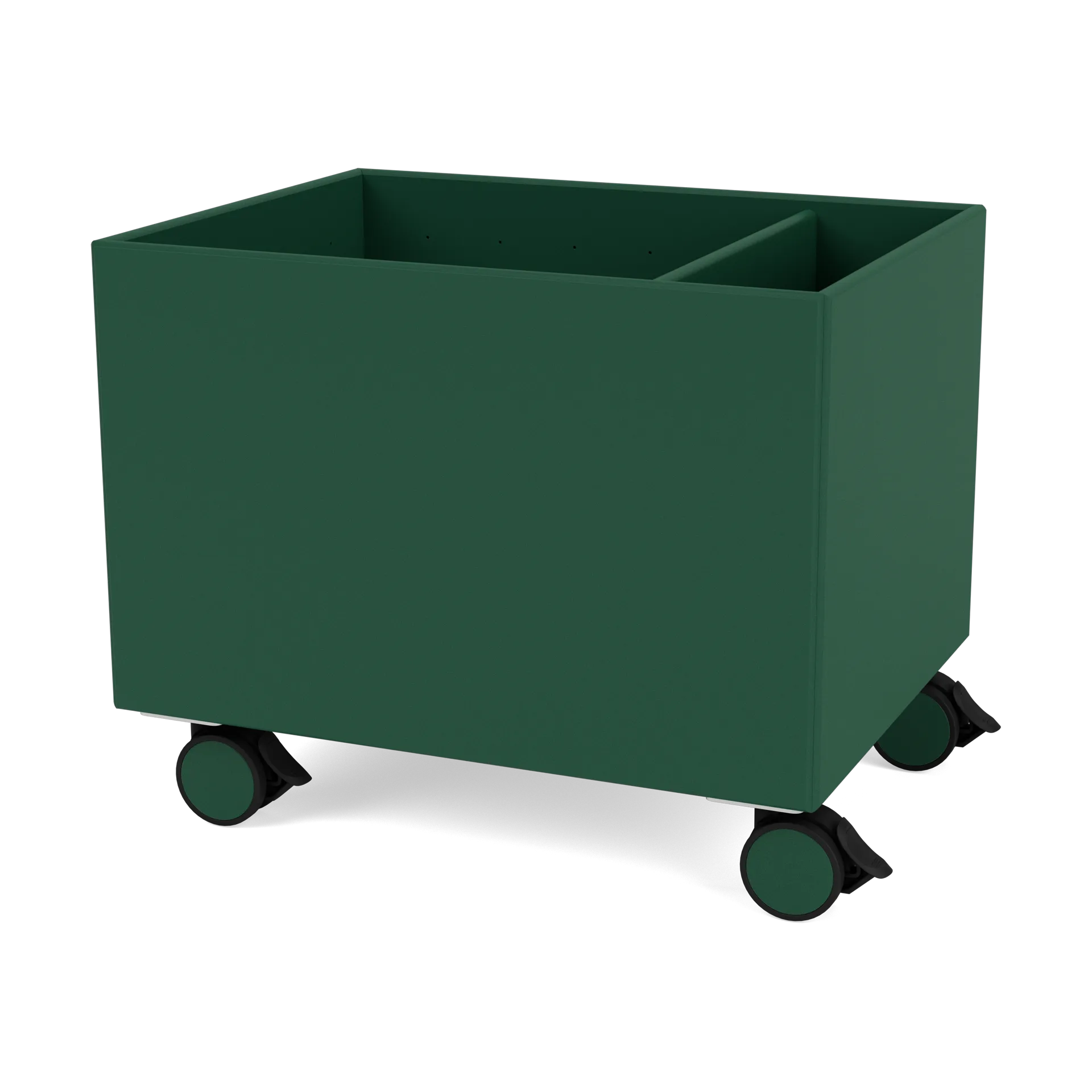 Caja de almacenaje Colour Box II, Pine Montana