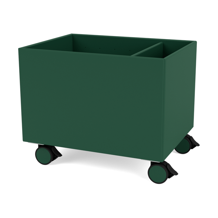 Caja de almacenaje Colour Box II - Pine - Montana