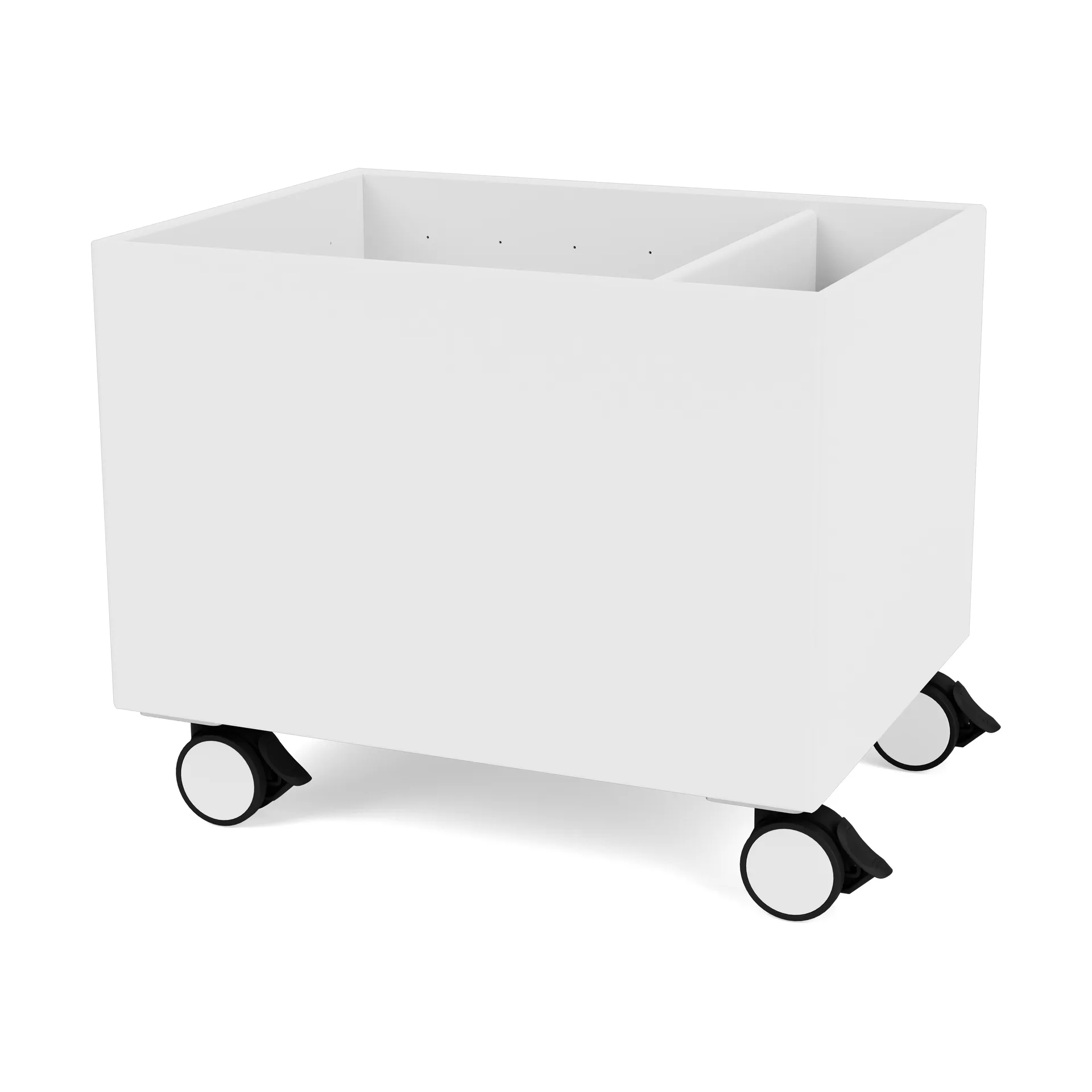 Caja de almacenaje Colour Box II, Snow Montana