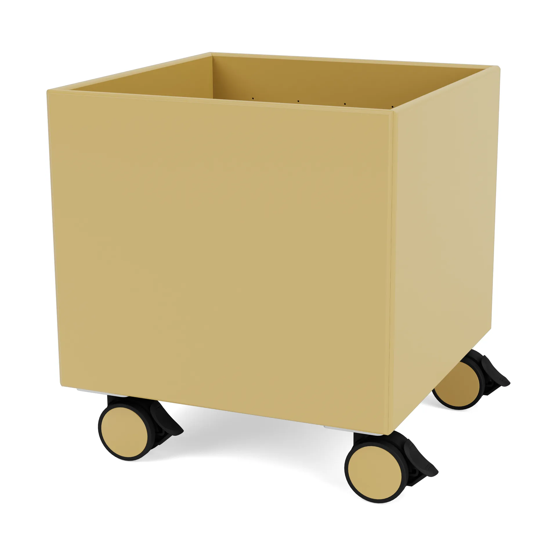 Colour Box I – S6161, Cumin Montana