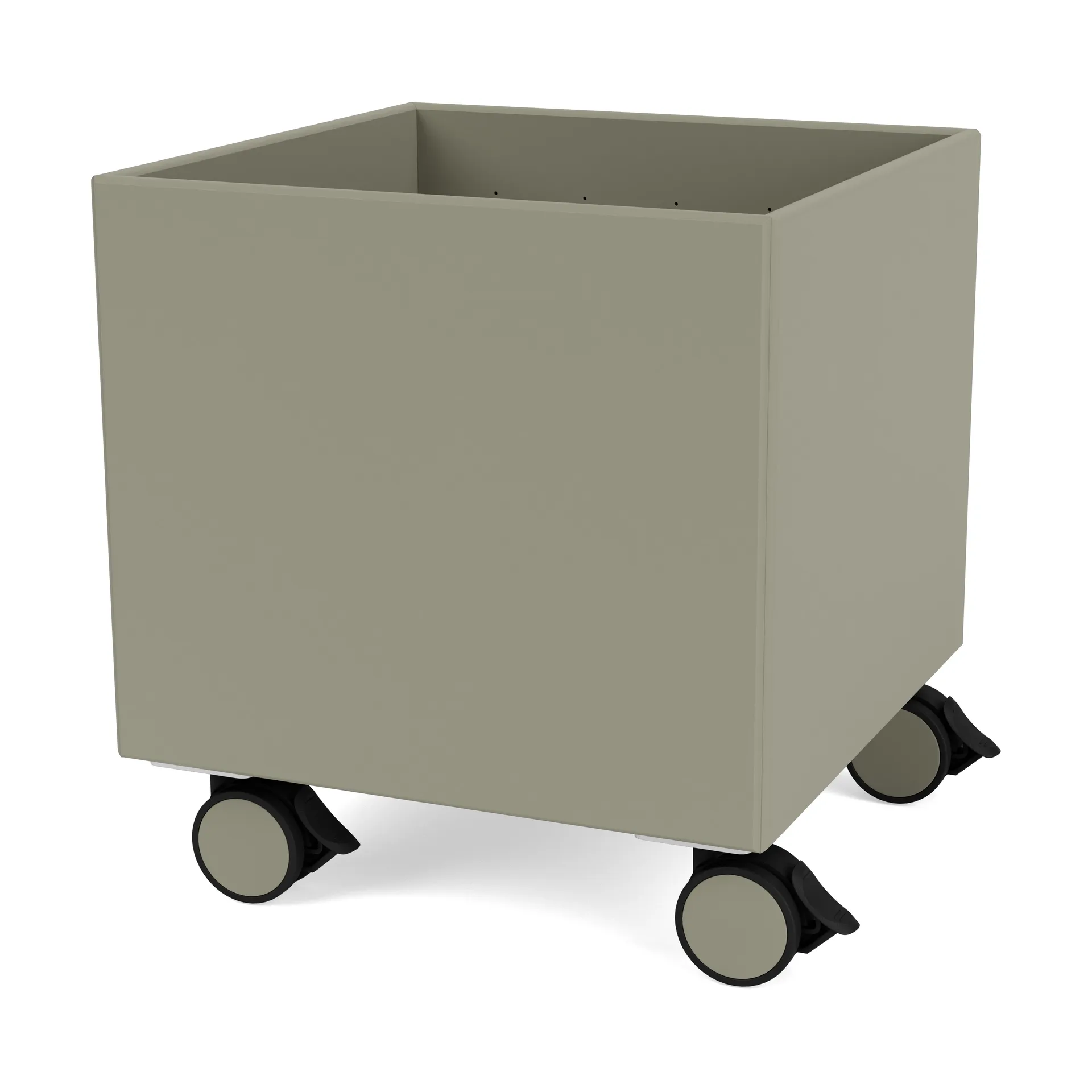 Colour Box I – S6161, Fennel Montana