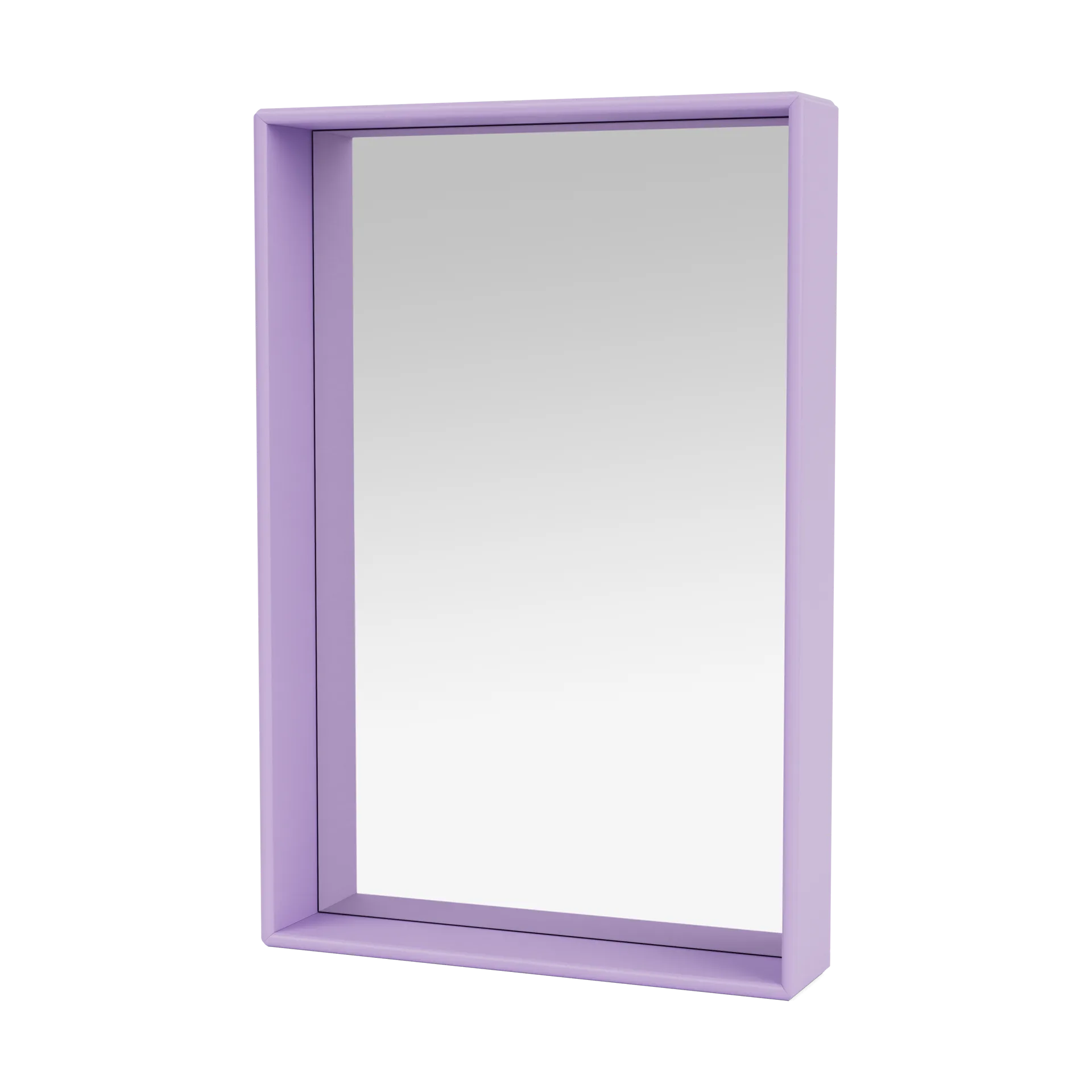 Espejo Shelfie colour frame 46,8x69,6 cm, Iris Montana