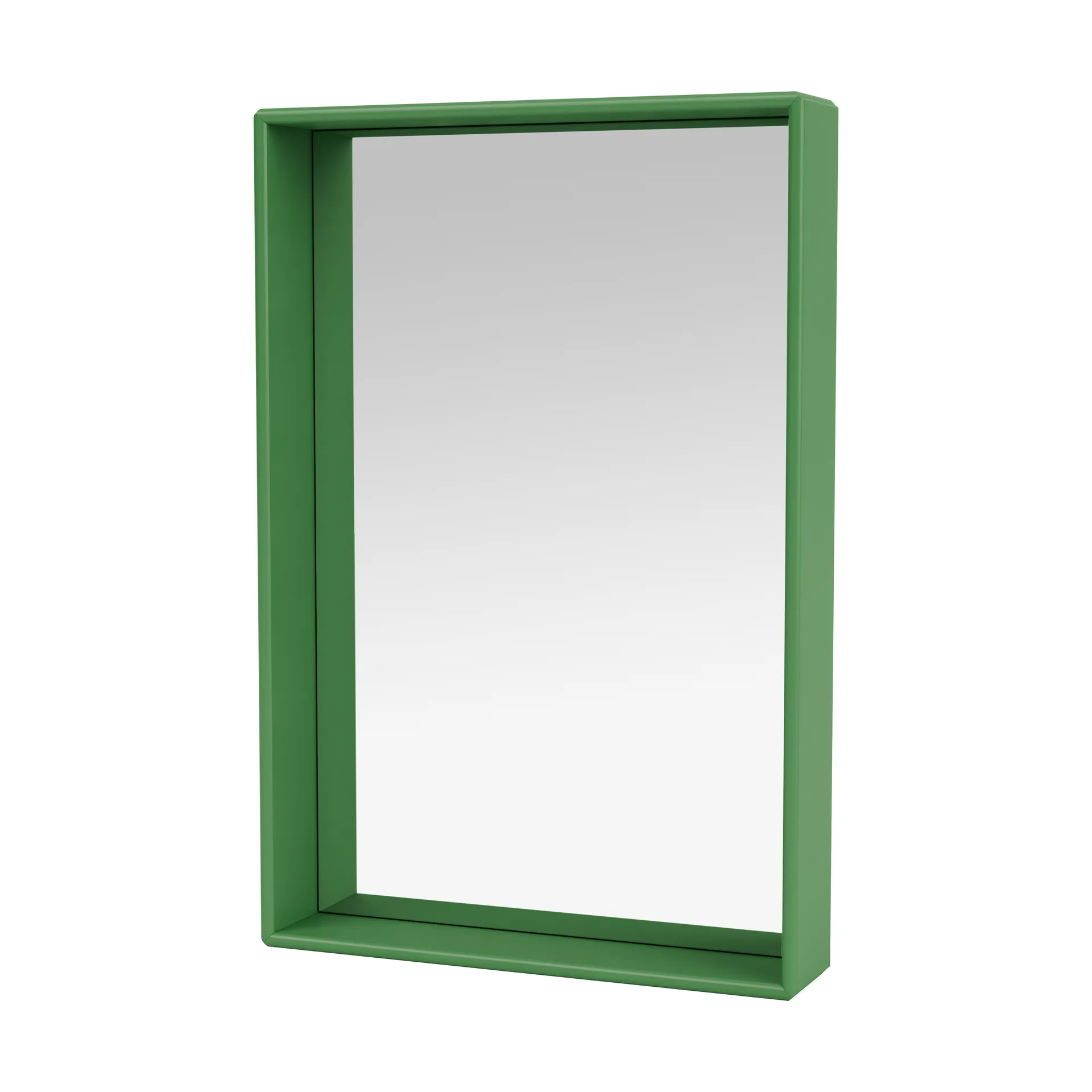 Espejo Shelfie colour frame 46,8x69,6 cm, Parsley Montana