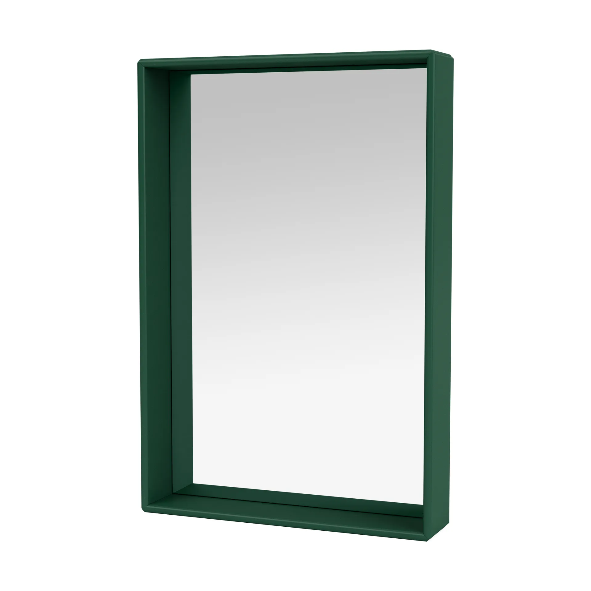 Espejo Shelfie colour frame 46,8x69,6 cm, Pine Montana
