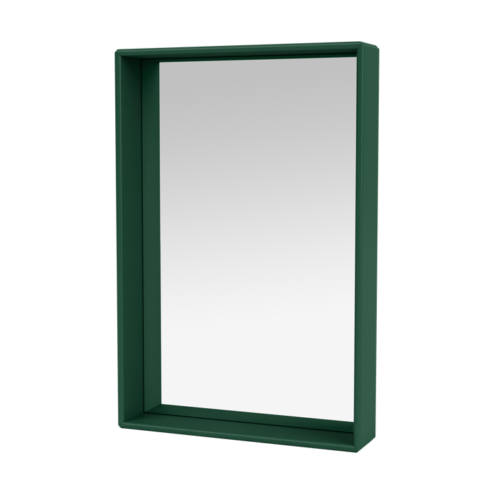 Espejo Shelfie colour frame 46,8x69,6 cm - Pine - Montana