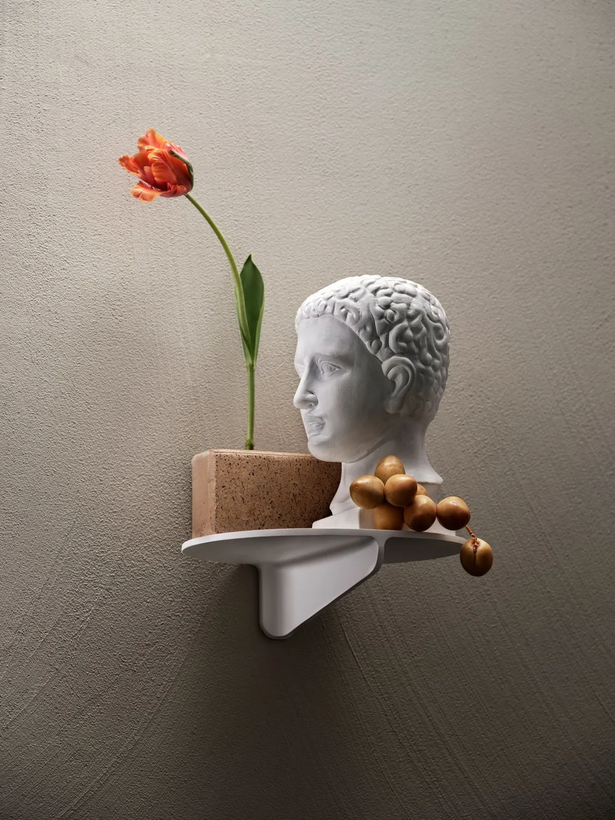 Estantería de pared Museum NM&.045, Verde Museum