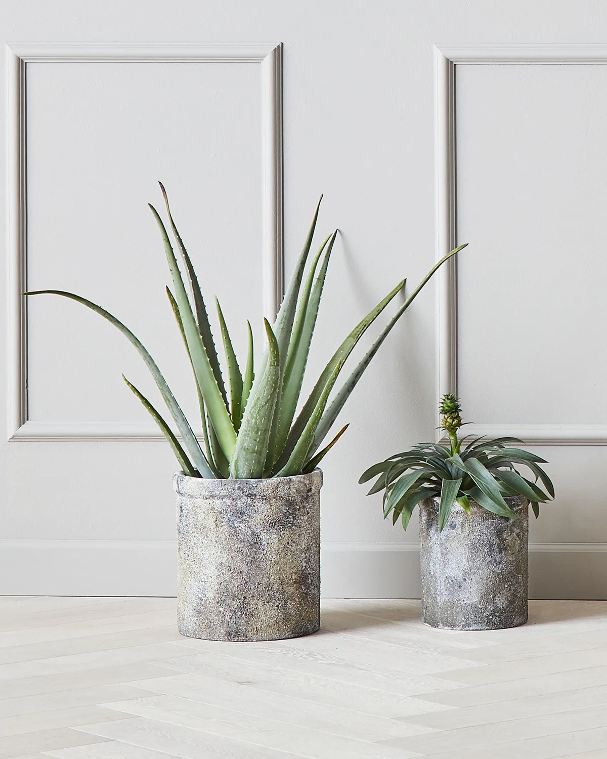 Set de 2 macetas Treasure, Ø18 y Ø23 cm MUUBS