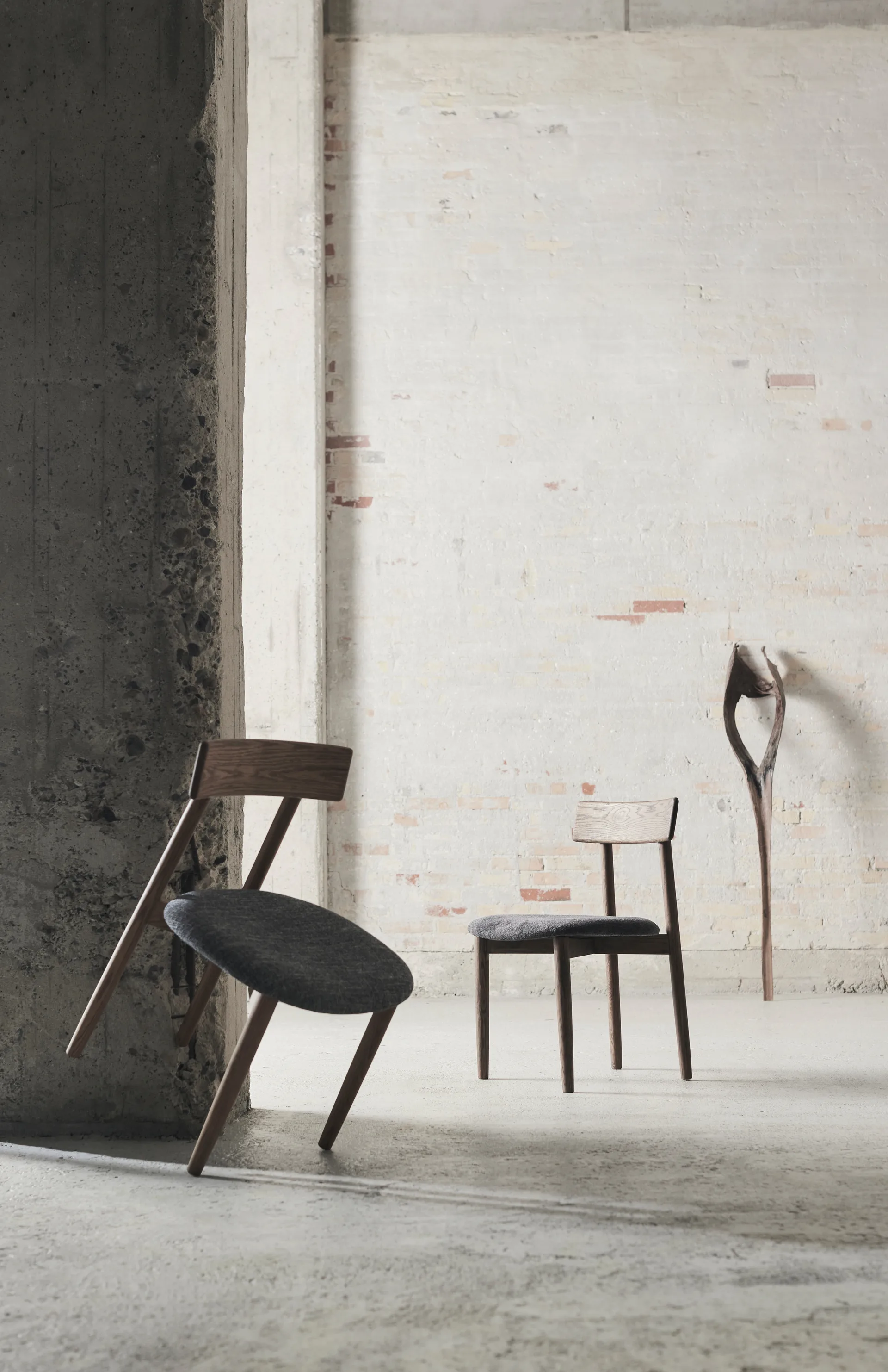 Sillas con asiento Tetra, Tejido color granito-roble oscuro MUUBS