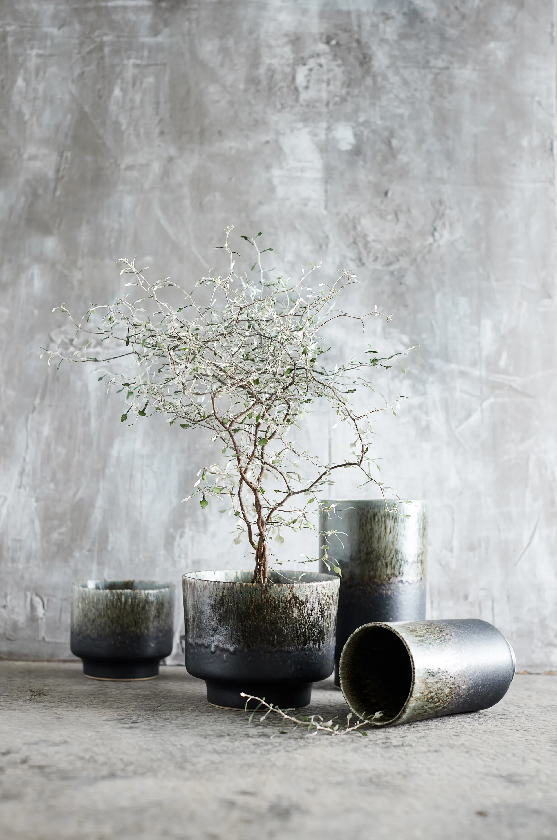 Tarro Lago M Ø16,5x13 cm, Forest green MUUBS