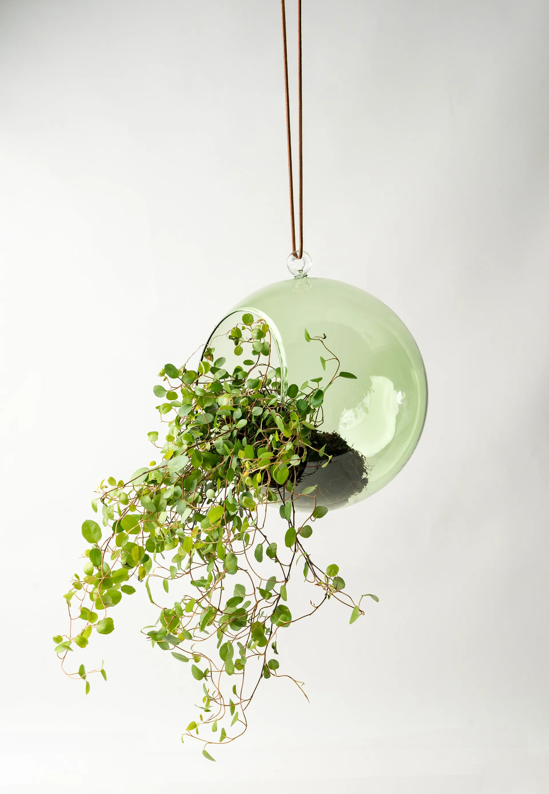 Bola decorativa Muurla Ø12 cm, verde Muurla