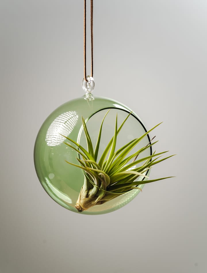 Bola decorativa Muurla Ø12 cm, verde Muurla