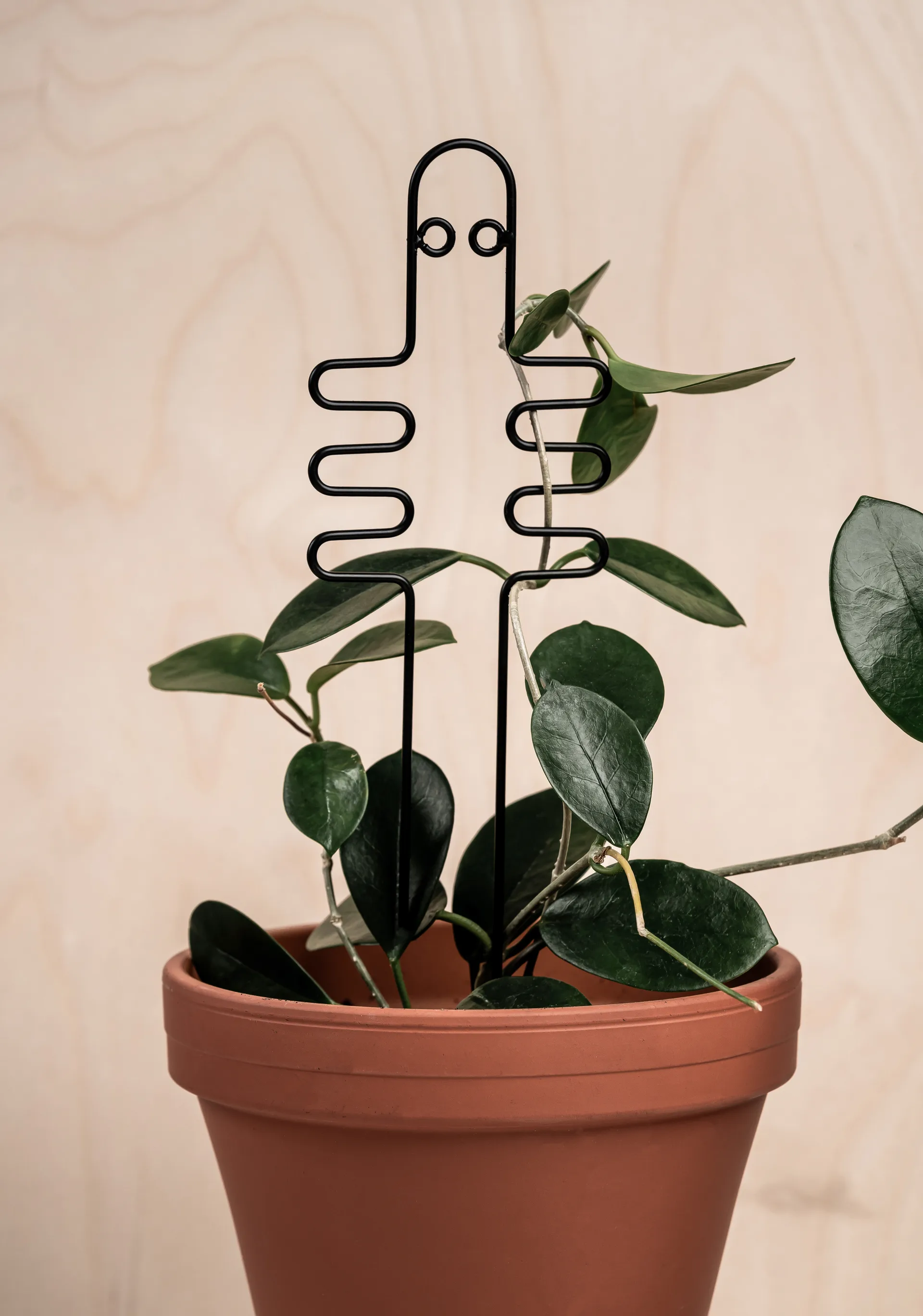Soporte para plantas de los Hatifnates, Negro Muurla