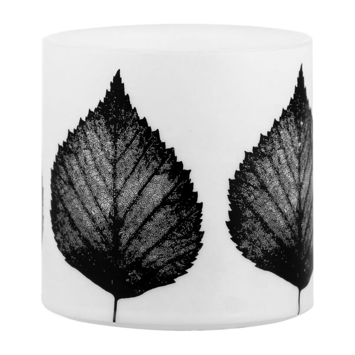 Vela gruesa Nordic The Birch Leaf 8 cm - blanco-negro - Muurla