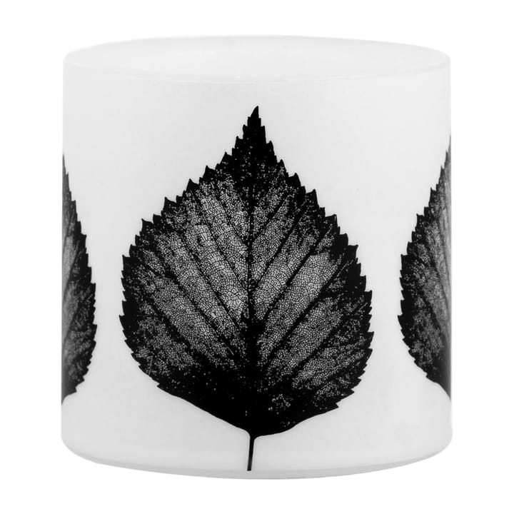 Vela gruesa Nordic The Birch Leaf 8 cm - blanco-negro - Muurla