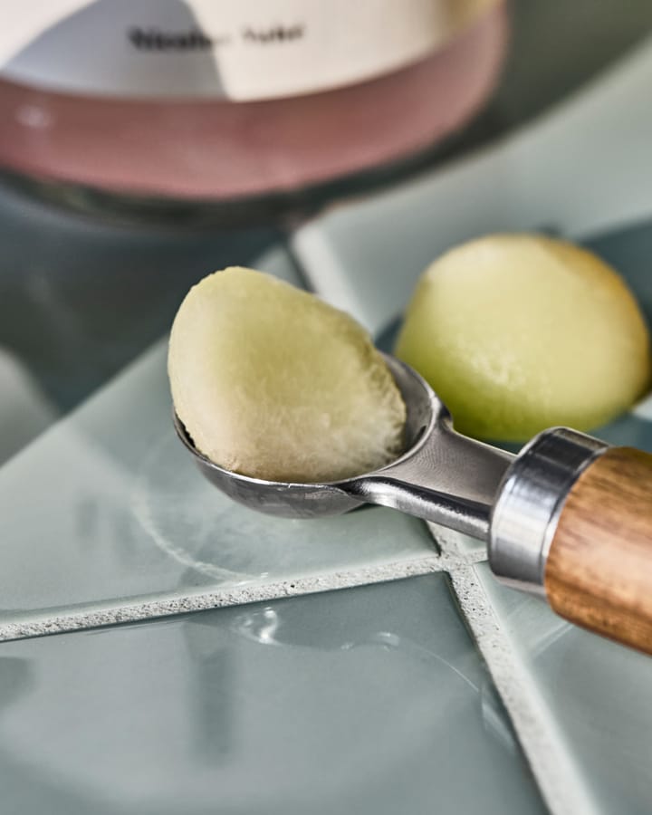 Cuchara de helado Melon, Natur Nicolas Vahé