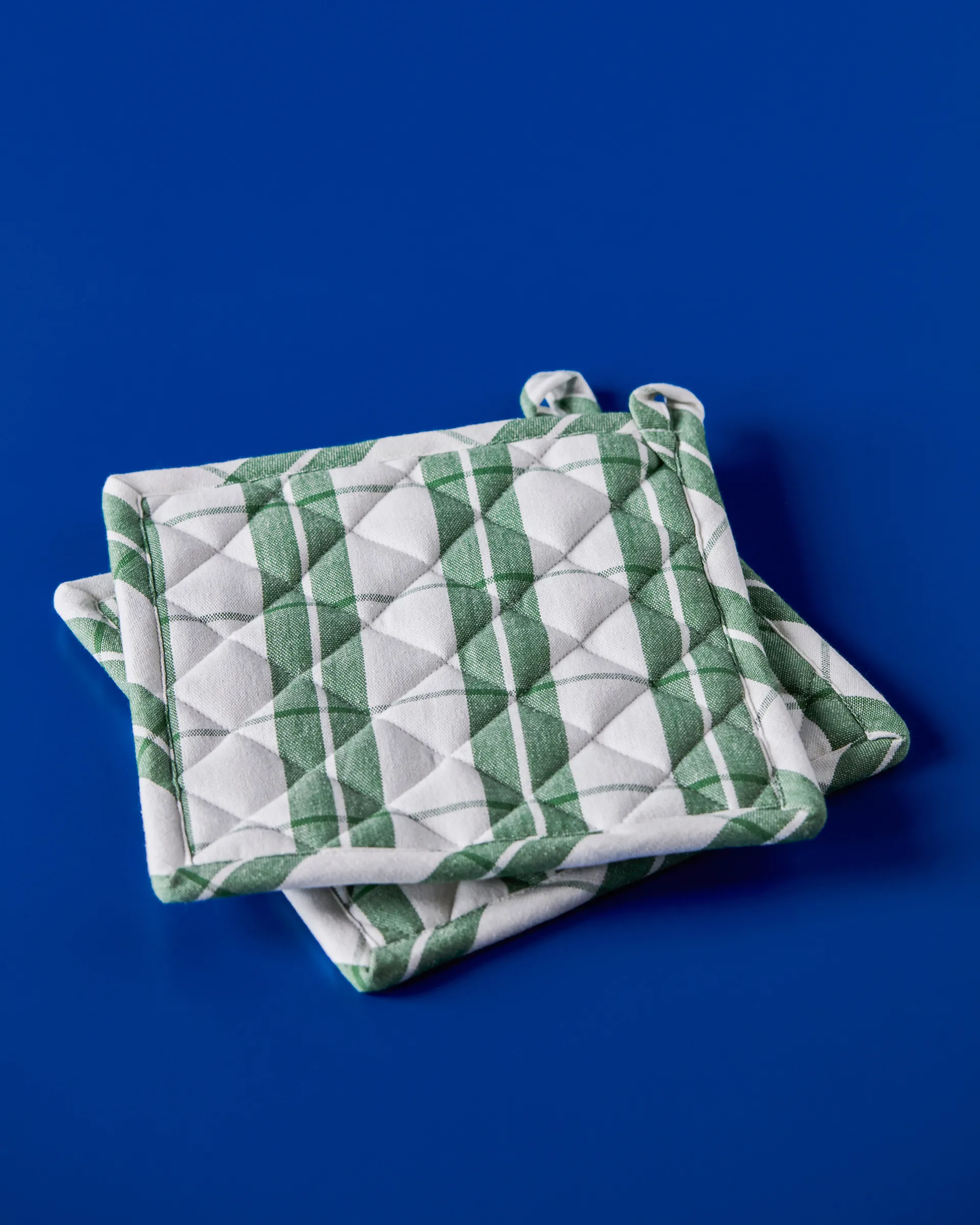 Set de 2 Manoplas de cocina Chef, Verde Nicolas Vahé