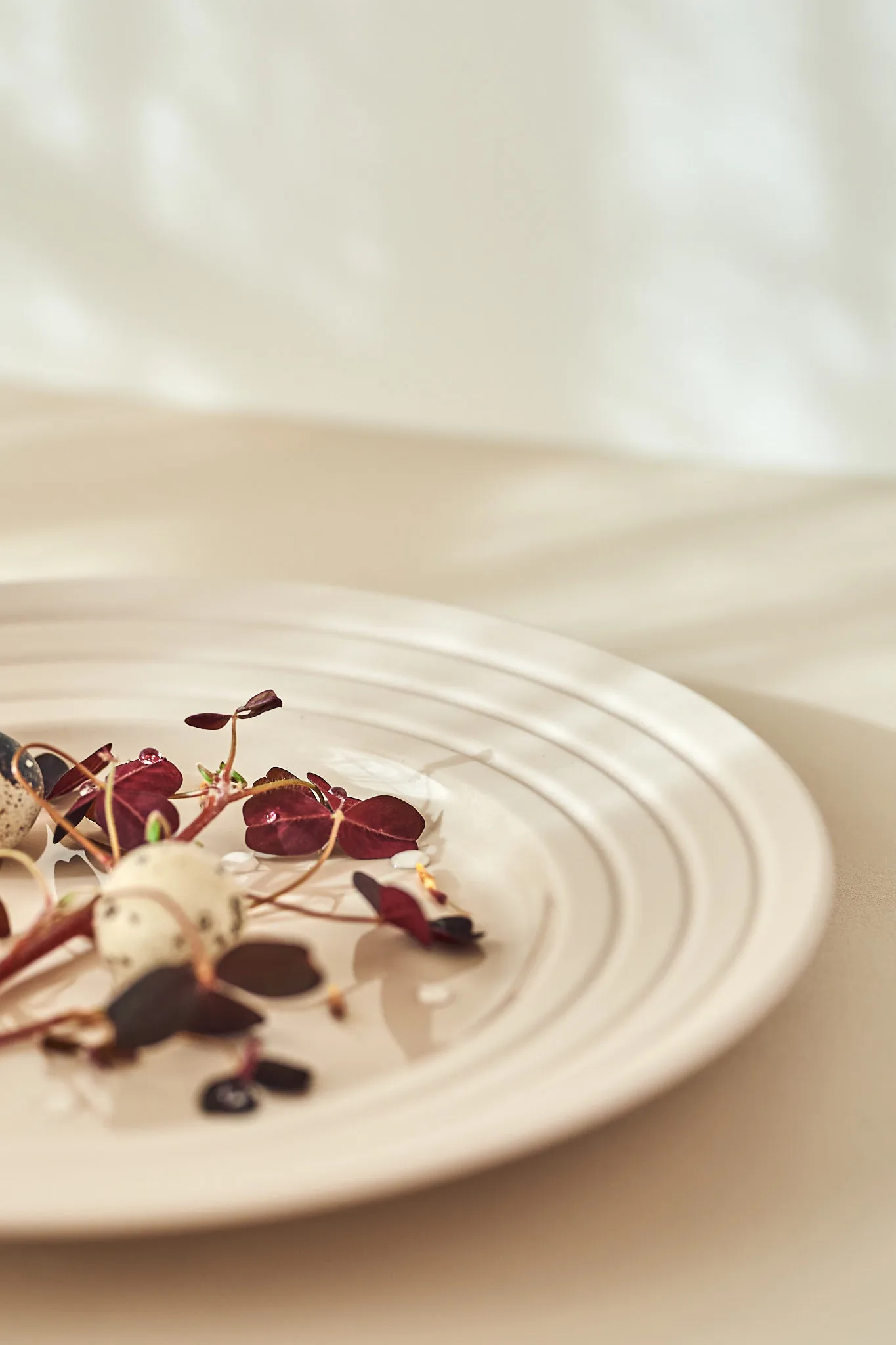 6 Platos Lines Ø27 cm, Beige NJRD