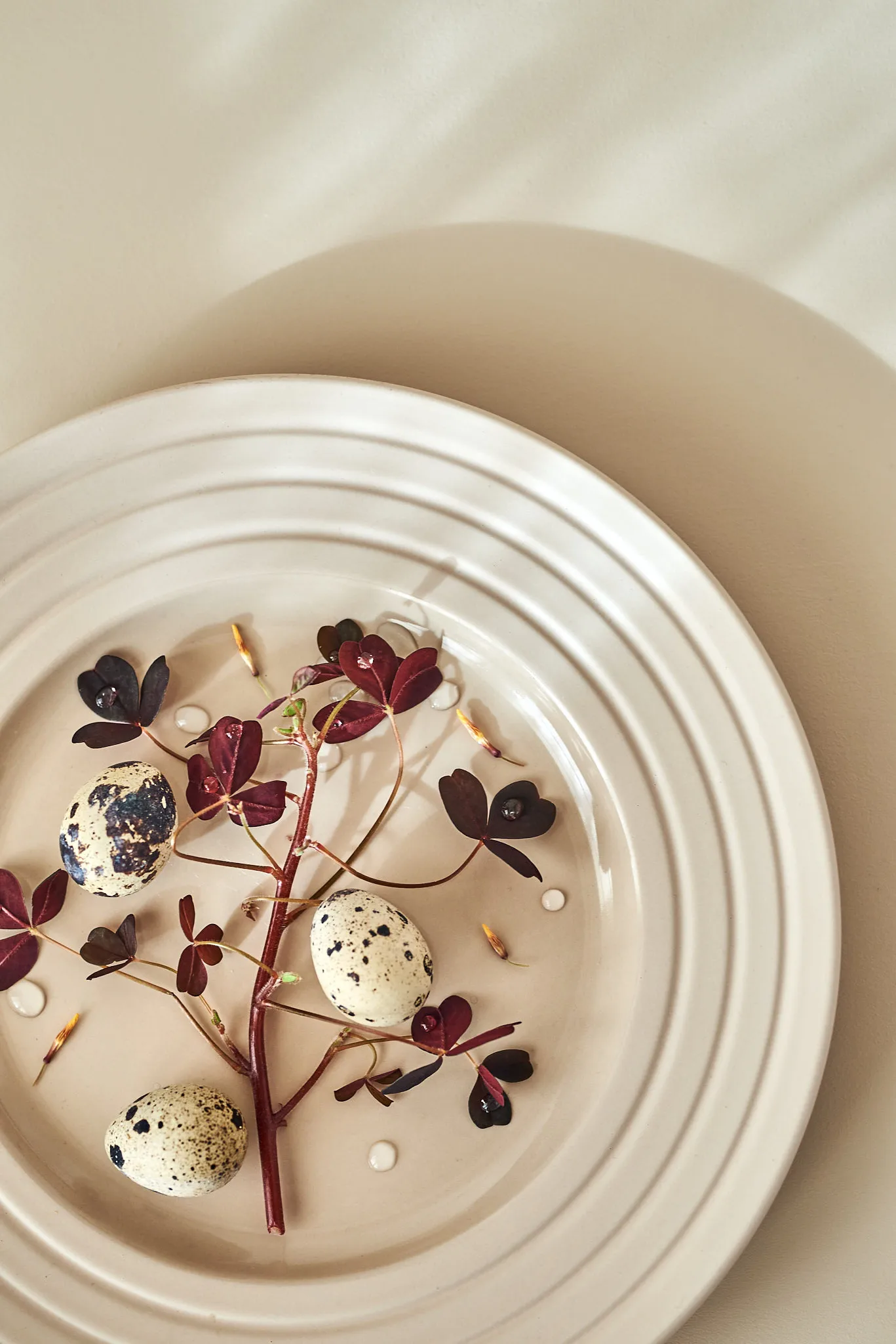 6 Platos Lines Ø27 cm, Beige NJRD