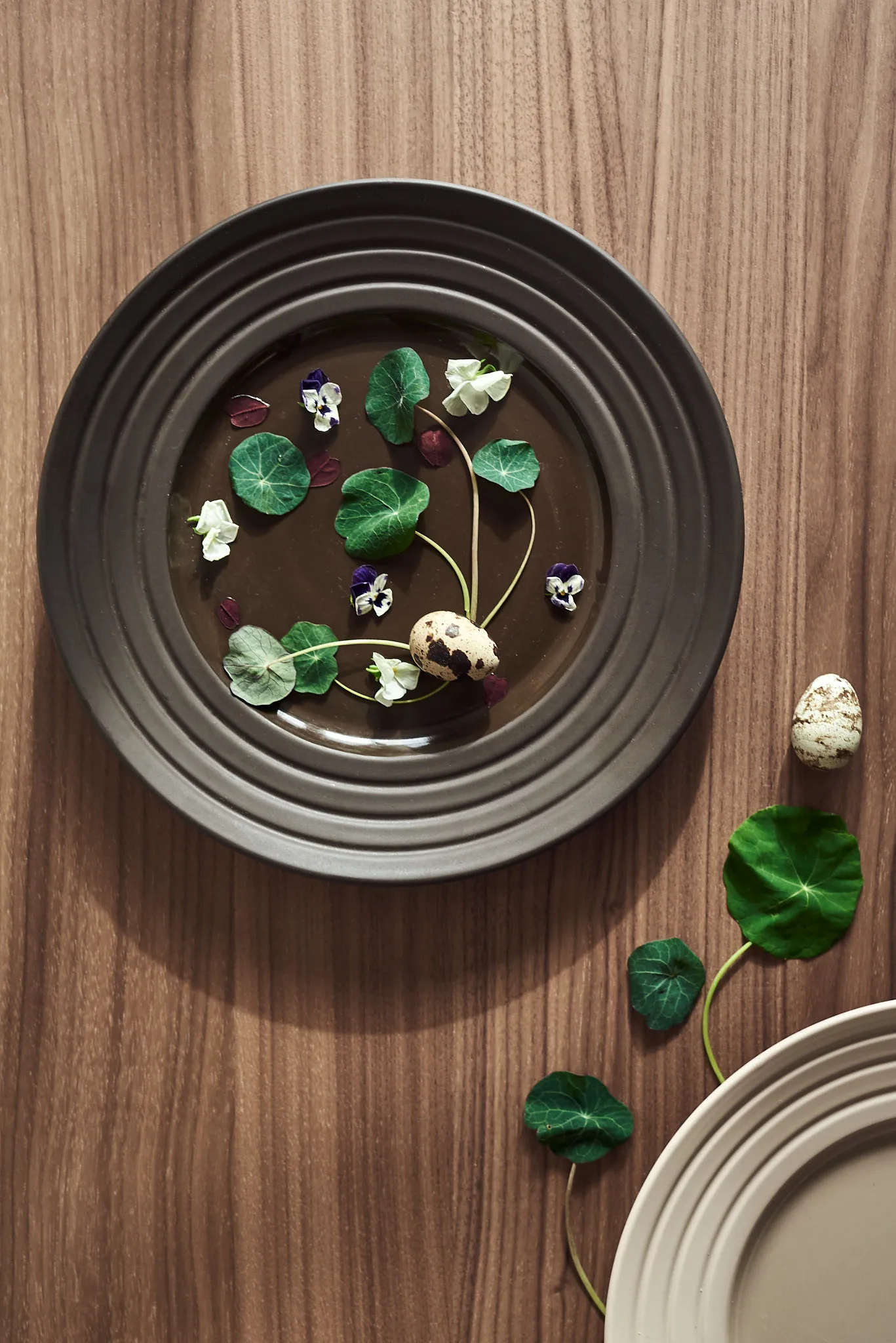 6 Platos Lines Ø27 cm, marrón NJRD