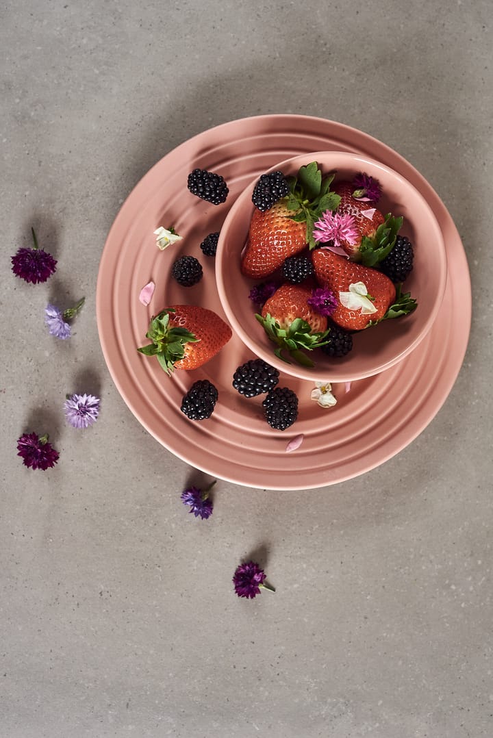 6 Platos Lines Ø27 cm, Rosa NJRD