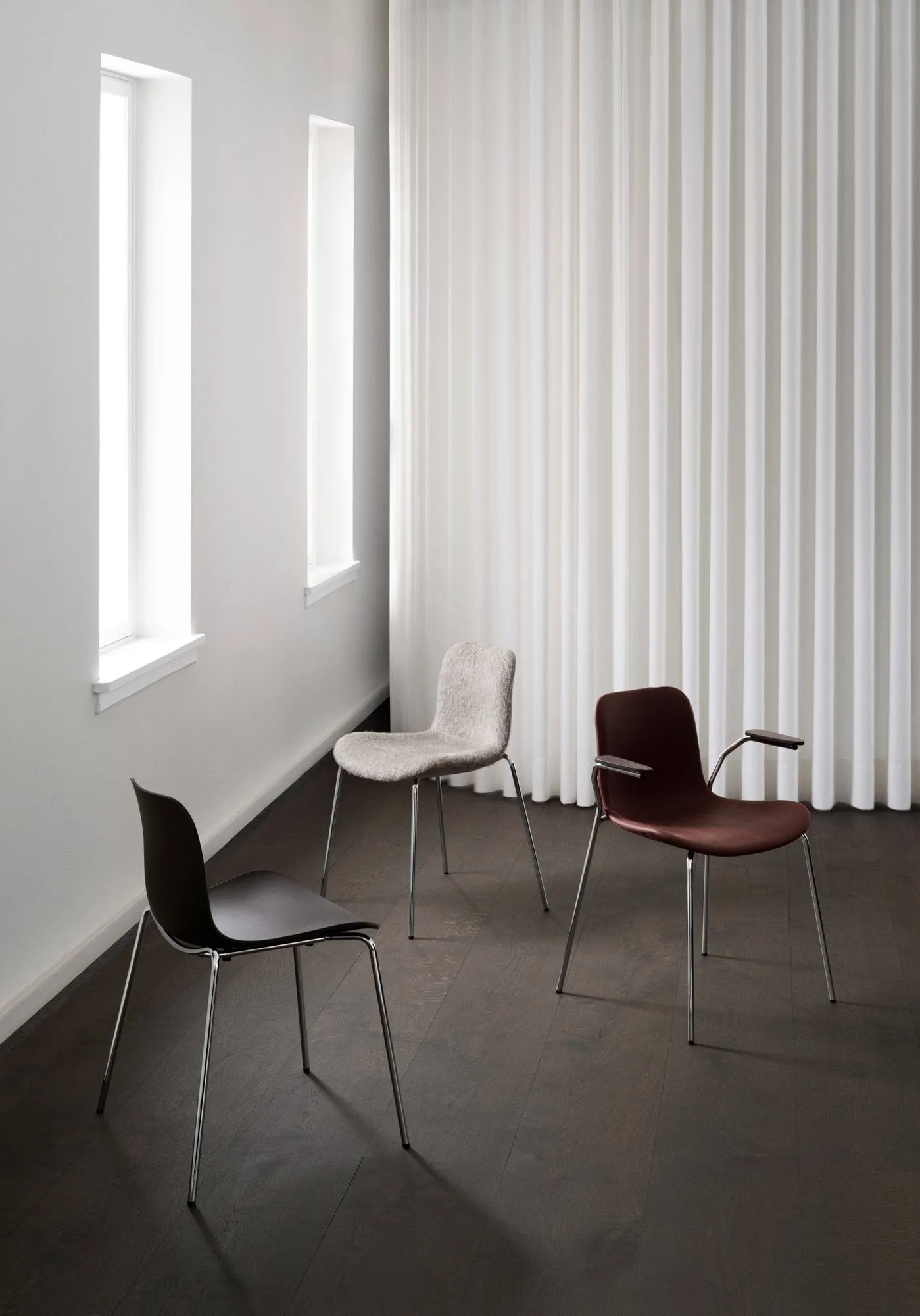 Langue silla, Ecru-negro con base NORR11