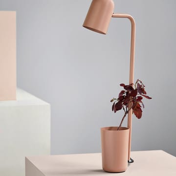 Flexo Buddy - Warm beige - Northern