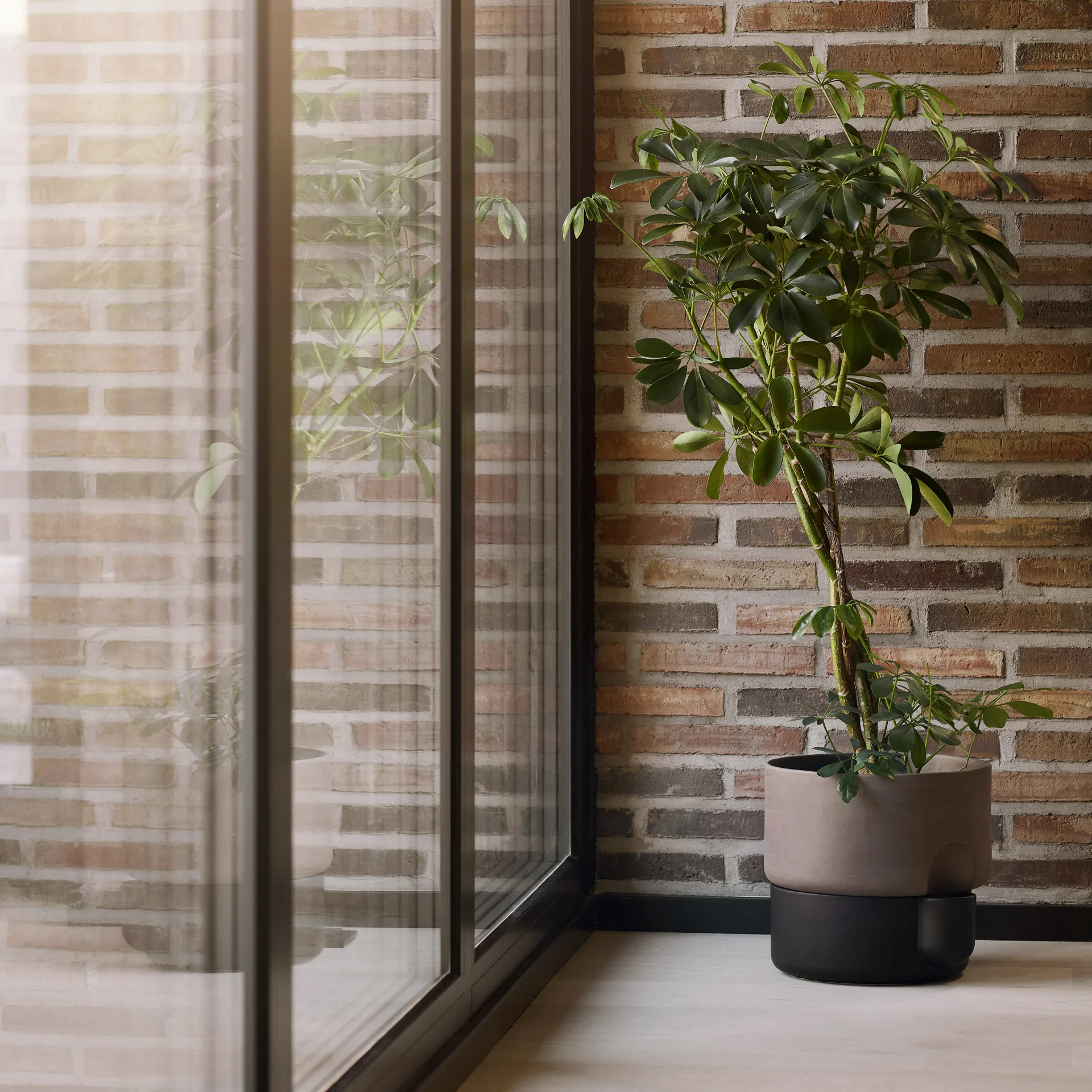 Maceta autorriego Oasis L Ø27.5 cm, Marrón oscuro Northern