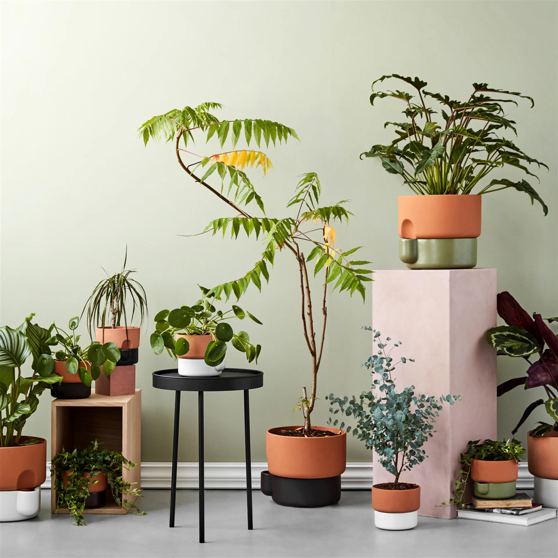 Maceta autorriego Oasis L Ø27.5 cm, marrón oscuro Northern