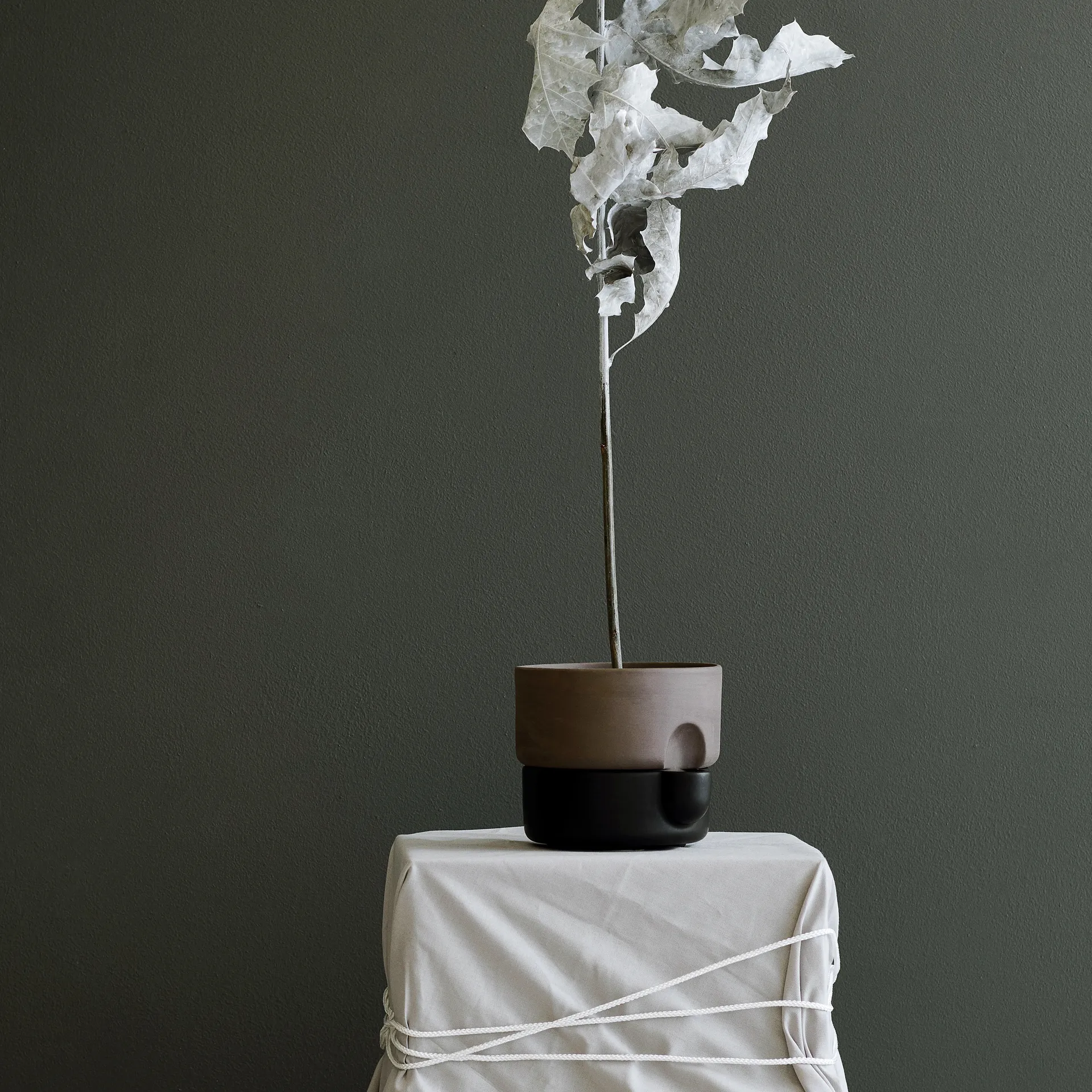 Maceta autorriego Oasis S Ø15 cm, Negro Northern