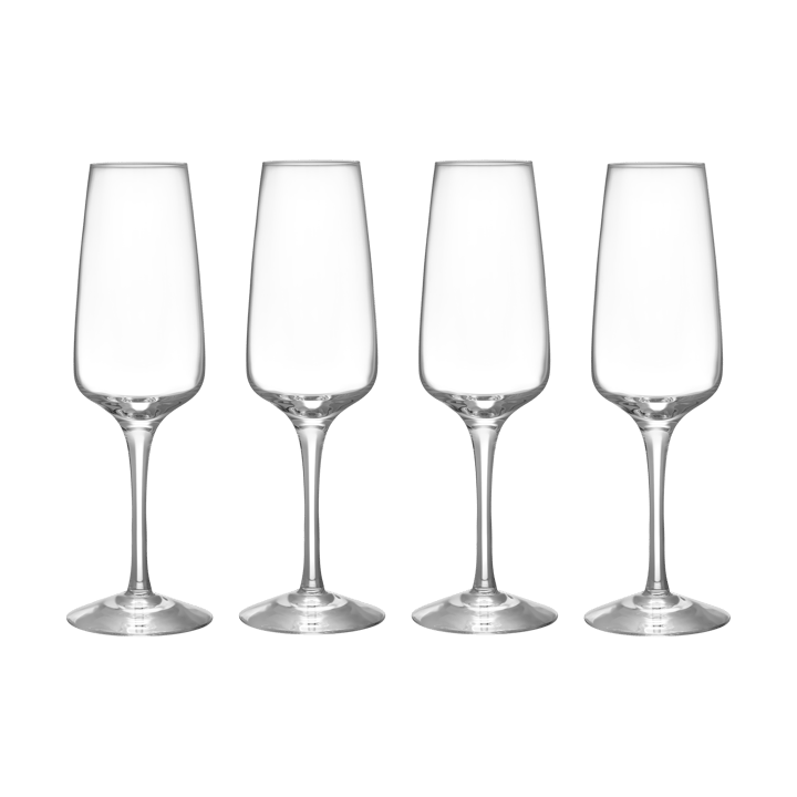 4 Copas de champagne Pulse 28 cl - Transparente - Orrefors