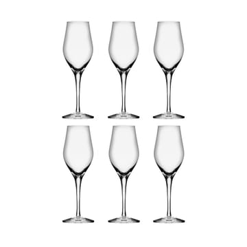 6 Copas de champagne Sense 25,5 cl - Transparente - Orrefors