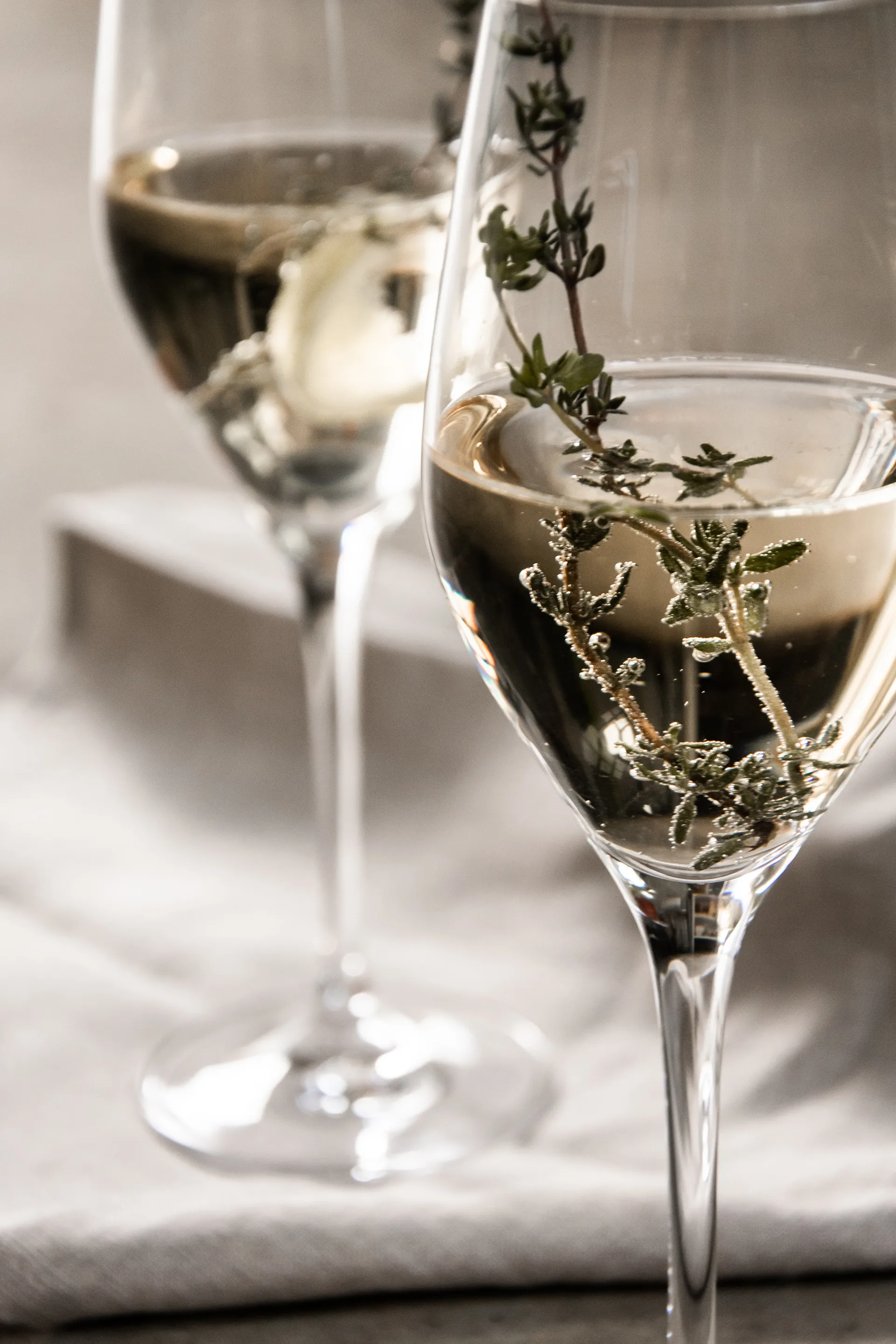 6 Copas de champagne Sense 25,5 cl, Transparente Orrefors