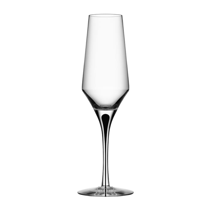 Copa de champagne Metropol 27 cl, Clear / Black Orrefors