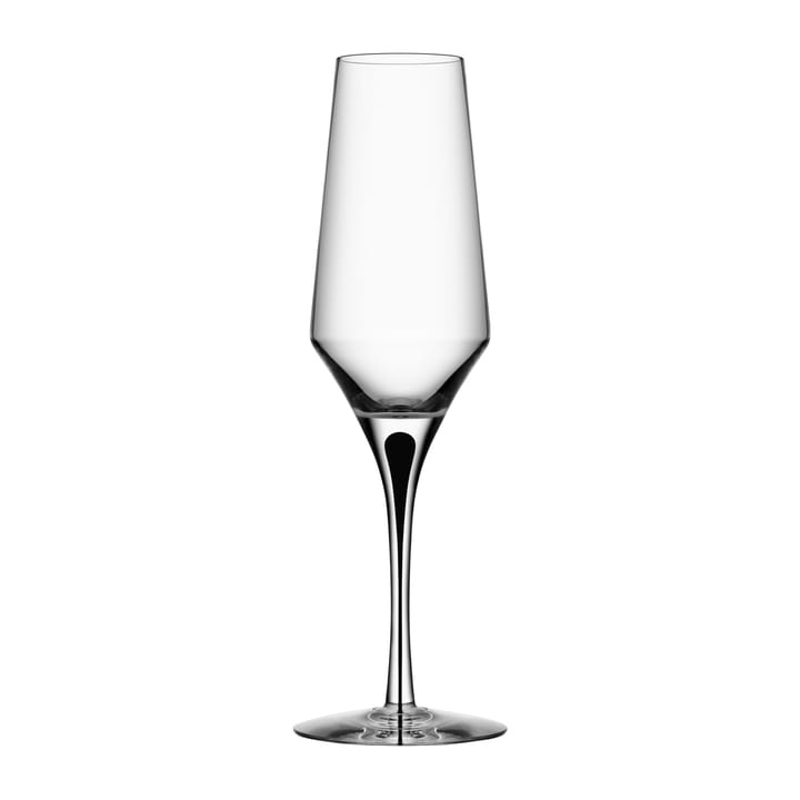 Copa de champagne Metropol 27 cl - Clear / Black - Orrefors