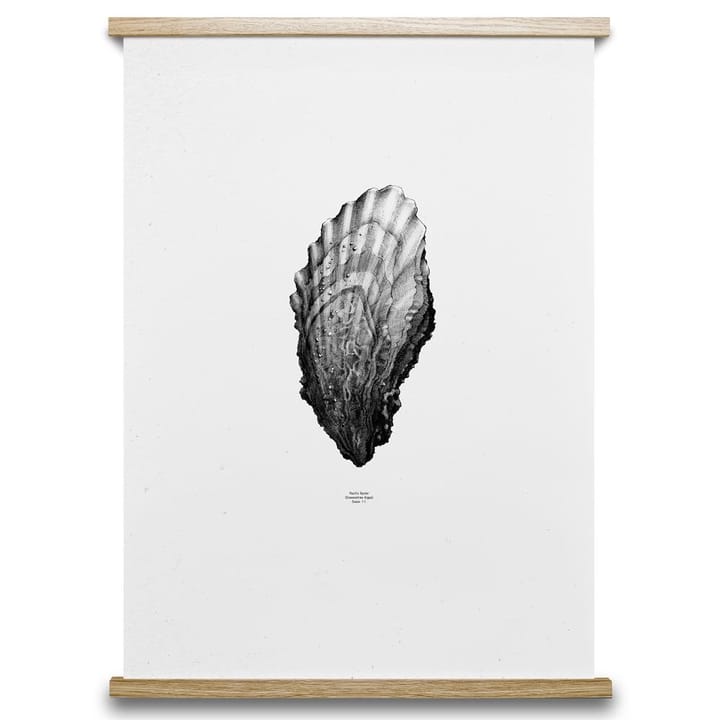 Lámina 1:1 Oyster - 50 x 70 cm - Paper Collective